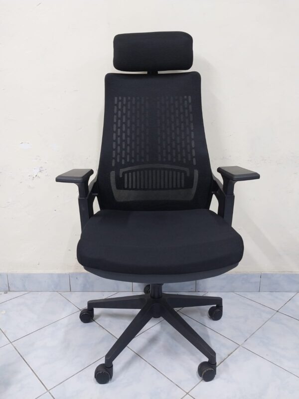 "Lama Orthopedic Office Seat with ergonomic design, adjustable features, and padded armrests in a contemporary office setting."