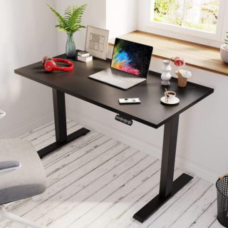 Adjustable height electric standing desk with a spacious tabletop and modern design, ideal for promoting better posture and productivity.