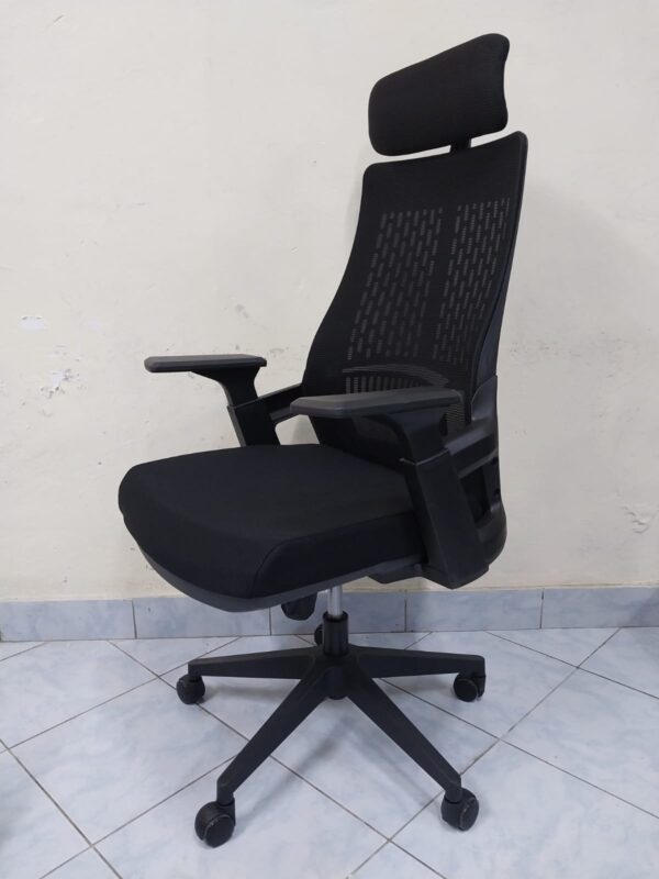 "Lama Orthopedic Office Seat with ergonomic design, adjustable features, and padded armrests in a contemporary office setting."