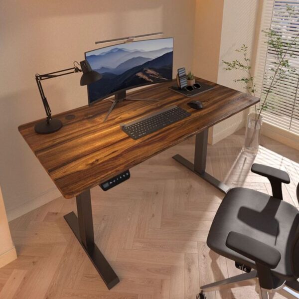 120 cm Electric Standing Adjustable Desk with smooth height adjustment and modern design.