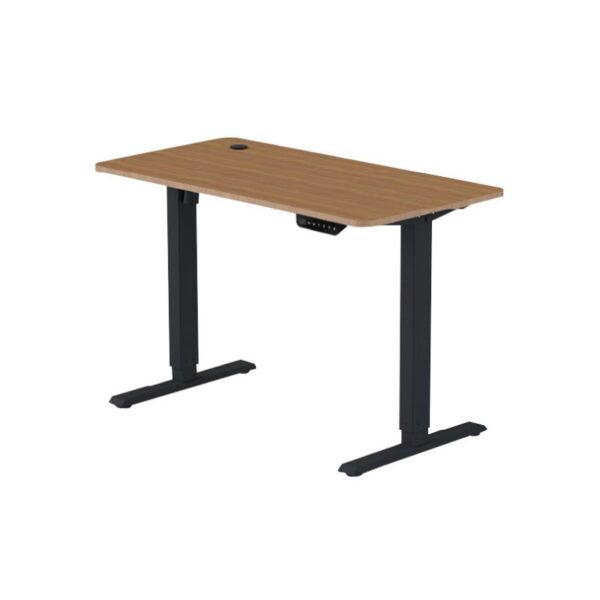 120 cm Electric Standing Adjustable Desk with smooth height adjustment and modern design.