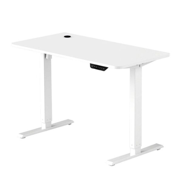 Height Adjustable Electric Standing Desk in a modern office setting.