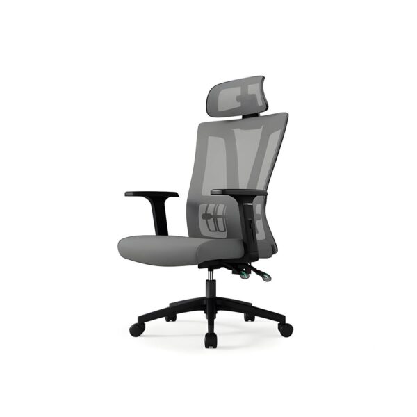 High-back mesh task chair with adjustable arms, ergonomic design, and breathable back for comfort and support.