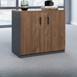 2-Door Executive Credenza File Cabinet with adjustable shelves and modern wood finish.