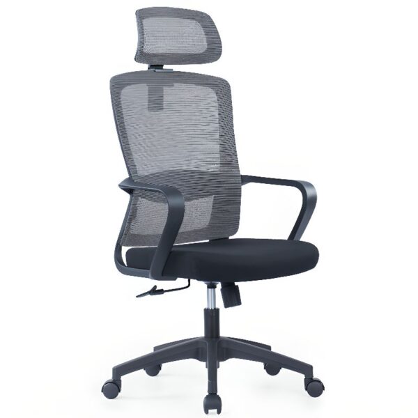 Ergonomic Mesh Study Chair with adjustable height and armrests, designed for comfort and proper posture.