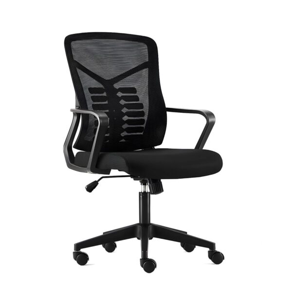 Ergonomic Lumber Mesh Study Chair with adjustable height, padded armrests, and breathable mesh backrest in a modern study setting.