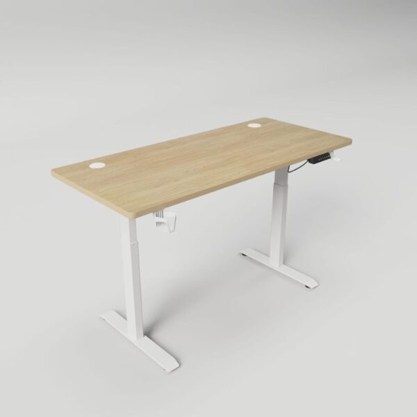 160cm Ergonomic Electric Work Desk with electric height adjustment, providing comfort, better posture, and a spacious surface for efficient work in a modern setting.