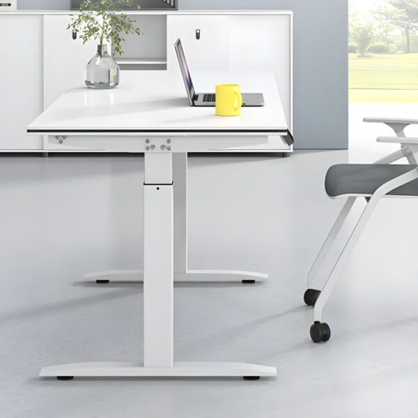 120cm Office Electric Standing Desk with adjustable height and modern design, perfect for promoting comfort and productivity in the workspace.