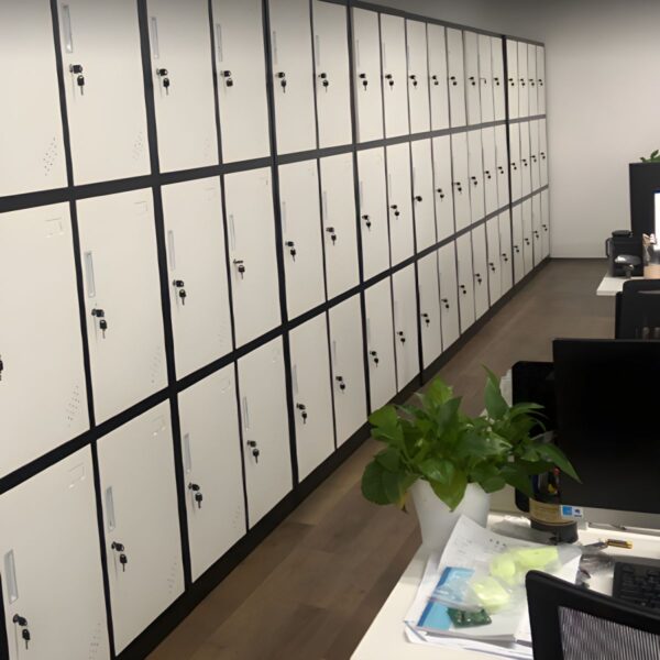 Office 9-Locker Steel Cabinet with nine secure lockers, each with its own lock, providing efficient storage and privacy in a sleek, modern design.