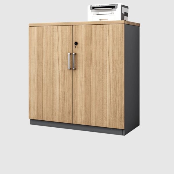 office cabinet, office storage cabinet, filing cabinet, office filing storage, office storage solution, office organizer, metal office cabinet, wooden office cabinet, office cabinet with drawers, lockable office cabinet, office cabinet with shelves, office desk cabinet, modern office cabinet, executive office cabinet, office cabinet for files, office storage with lock, vertical office cabinet, horizontal office cabinet, 2-door office cabinet, 3-door office cabinet, office cabinet for documents, cabinet for office supplies, office cabinet with lock, office cupboard, office storage unit, home office cabinet, office storage system, executive filing cabinet, office storage drawers, office filing system, office shelving cabinet, office storage drawer unit, office cabinet with adjustable shelves, multi-door office cabinet, office storage locker, compact office cabinet, space-saving office cabinet, office storage organizer, heavy-duty office cabinet, office document storage, office storage for legal files, office cupboard with doors, office storage with adjustable shelves, office filing cabinet with locks, steel office cabinet, metal storage cabinet, wooden filing cabinet, office organization, office space storage, filing system cabinet, modern filing cabinet, office storage furniture, office drawer cabinet, office storage unit with drawers, space-efficient office cabinet, lockable filing cabinet, office drawer storage, multi-purpose office cabinet, vertical storage cabinet, horizontal storage cabinet, wooden office storage cabinet, home office filing cabinet, office cabinet with locks, large office cabinet, small office cabinet, office storage for small spaces, office storage for documents, cabinet with multiple drawers, office cabinet for storage, office cabinet with keys, office storage furniture with shelves, office filing cupboard, modern office storage, office bookcase cabinet, mobile office cabinet, office drawer storage unit, office cabinet with multi-functional use, office document organizer cabinet, office storage unit with lock, office cupboard with drawers, multi-purpose filing cabinet, office cabinet for home office, executive storage cabinet, cabinet for office papers, lockable file cabinet, office file organizer, office storage for work documents, office cabinet with built-in storage, office filing storage unit, file cabinet for office, metal filing cabinet with drawers, small filing cabinet for office, office filing system with storage, large storage office cabinet, office storage and filing, storage cabinet for office supplies, professional office cabinet, office file storage unit, locking office cabinet, mobile storage office cabinet, multi-drawer office cabinet, adjustable shelf office cabinet, office cabinet with wood finish, office storage with locks, storage unit for office supplies, office storage with keys, office filing cabinet with adjustable shelves, office document storage cabinet, office filing solution, storage solutions for office, modern office filing system, ergonomic office cabinet, office filing cabinet with secure lock, lockable drawer cabinet, office storage organizer with shelves, vertical filing cabinet, modern office drawer storage, metal office storage cabinet, filing cabinet with drawers for office, office organizer with lock, cabinet with adjustable height, vertical storage for office, office cabinet for documents and files, filing and storage cabinet, office storage unit with drawers, compact storage cabinet, office storage filing cabinet with lock, space-efficient filing cabinet, compact file storage cabinet, file storage solution for office, document organizer for office, office filing and storage unit, lockable document storage cabinet, office drawer filing cabinet, office storage with multi-functional drawers, office space organizer, lockable office cupboard, executive storage furniture, office document filing system, cabinet for storing office supplies, stylish office cabinet, large office filing cabinet, small office drawer unit, office storage cupboard with shelves, steel filing cabinet, efficient office storage, file cabinet for organizing office documents, modern storage cabinet, mobile file cabinet for office, storage cabinet with multiple shelves, office storage solution for legal files, ergonomic office filing cabinet, sleek office filing system, lockable file cabinet for office supplies, modern office file storage, office filing cabinet with security lock, high-quality office cabinet, office cabinet with integrated filing, multi-functional office storage, office storage for paperwork, metal office filing storage, file cabinet for professional office, modern filing cabinet for office use, office storage for important files, office document organizing cabinet, office cupboard with lock, versatile office storage, durable office filing cabinet, office cabinet for paper storage, adjustable office filing cabinet, home office filing and storage unit, compact office filing unit, multi-purpose document cabinet, office cupboard for file storage, document storage unit for office, office filing cabinet with compartments, high-capacity office storage, contemporary office filing solution, mobile filing cabinet for workspace, office drawer filing system, secure office cabinet with drawers, multi-drawer filing cabinet for office, office storage with adjustable features, file cabinet with lockable drawers, office storage with adjustable compartments, filing cabinet with lockable drawers, modern drawer storage cabinet, cabinet for office organization, office cupboard with multiple compartments, office organization unit, multi-drawer filing system, mobile filing unit for office, office cabinet for efficient storage, modern cabinet for office supplies, ergonomic filing cabinet for workspace, office cabinet with versatile storage, office storage cabinet for legal documents, office filing system with adjustable options, high-security office storage cabinet, metal file storage, office cabinet for paperwork organization, office cabinet with adjustable shelving, locking office drawer cabinet, professional filing cabinet for documents, durable office storage unit, executive filing storage, compact drawer office storage, office filing cabinet with internal organization, office storage cabinet with secure locks, file storage cabinet with adjustable shelves, modern office filing cabinet system, professional office filing system, sleek and modern filing cabinet, office document storage with lock, contemporary office storage solutions, multi-functional office storage unit, stylish filing and storage cabinet, executive drawer