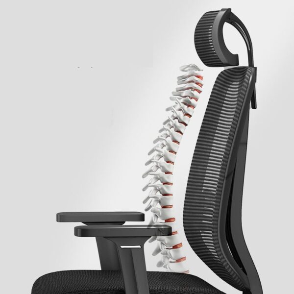 high-back orthopedic mesh chair, orthopedic mesh office chair, ergonomic mesh chair high back, orthopedic office chair with mesh back, mesh high-back chair for spine support, lumbar support orthopedic mesh chair, breathable orthopedic mesh chair, orthopedic executive chair mesh design, ergonomic high-back mesh chair, mesh office chair orthopedic support, spine-friendly mesh high-back chair, orthopedic desk chair mesh back, orthopedic computer chair mesh, high-back mesh chair for posture, orthopedic mesh chair with adjustable headrest, ventilated orthopedic mesh chair, orthopedic mesh office chair with lumbar support, medical mesh chair for office, orthopedic swivel mesh chair, ergonomic orthopedic high back chair, back care mesh office chair, mesh chair with orthopedic features, posture support mesh chair high back, orthopedic task chair mesh seat, orthopedic office mesh chair with arms, mesh ergonomic chair for back pain, high-back mesh chair for back alignment, orthopedic mesh desk chair adjustable, orthopedic mesh chair with reclining back, tall mesh chair orthopedic support, breathable mesh orthopedic chair high back, supportive mesh orthopedic desk chair, best orthopedic mesh office chair, doctor-recommended mesh office chair, orthopedic high-back chair with mesh support, premium orthopedic mesh executive chair, headrest mesh orthopedic chair, medical ergonomic mesh chair high back, orthopedic mesh chair for long hours, back pain relief mesh office chair, orthopedic chair for office work mesh, health-focused mesh high back chair, dynamic lumbar mesh chair orthopedic, adjustable mesh orthopedic chair with tilt, orthopedic mesh chair for computer desk, pain-free mesh ergonomic office chair, mesh back orthopedic desk chair with arms, mesh orthopedic chair for work from home, home office orthopedic mesh chair, orthopedic mesh chair with lumbar and neck support, reclining orthopedic mesh office chair, mesh chair for spine health, orthopedic high back mesh chair with tilt function, adjustable mesh desk chair orthopedic, ventilated orthopedic high-back office chair, orthopedic high mesh chair for workstations, ergonomic orthopedic computer mesh chair, durable orthopedic mesh desk chair, mesh orthopedic office chair with padded seat, neck and back mesh orthopedic chair, orthopedic mesh desk chair with wheels, breathable ergonomic orthopedic mesh chair, orthopedic chair mesh for tall users, orthopedic swivel chair mesh ergonomic, therapeutic mesh chair high-back design, comfortable orthopedic mesh office chair, orthopedic mesh executive seating, adjustable headrest mesh orthopedic chair, orthopedic mesh office chair with tilt lock, back doctor-approved mesh office chair, work chair mesh orthopedic with lumbar pad, ergonomic design orthopedic mesh seating, workstation mesh chair orthopedic ergonomic, high-back office mesh chair orthopedic support, orthopedic mesh chair for prolonged sitting, orthopedic high-back mesh seating solution, mesh executive orthopedic office chair, back and neck support mesh orthopedic chair, desk chair orthopedic mesh and fabric blend, orthopedic mesh chair with 3D armrests, orthopedic high-back chair mesh lumbar support, dynamic mesh orthopedic work chair, orthopedic mesh chair with synchro tilt, all-day comfort orthopedic mesh chair, orthopedic mesh chair with breathable backrest, full support mesh orthopedic chair, mesh office chair for orthopedic comfort, therapeutic ergonomic mesh chair, orthopedic mesh chair for executives, posture correcting mesh orthopedic chair, orthopedic desk chair with mesh fabric, doctor-endorsed orthopedic mesh chair, orthopedic high-back mesh chair adjustable arms, mesh chair for orthopedic seating needs, premium quality orthopedic mesh desk chair, healthy seating mesh chair orthopedic support, ergonomic high-back orthopedic chair with mesh, orthopedic back-friendly mesh office chair, long-duration seating orthopedic mesh chair, advanced ergonomic orthopedic mesh chair, orthopedic mesh chair with reclining seat, ergonomic desk mesh chair orthopedic high-back, orthopedic mesh task chair with ergonomic support, orthopedic workstation chair mesh-based, breathable orthopedic chair for office mesh, high performance mesh orthopedic desk chair, orthopedic ergonomic chair mesh for home office, orthopedic design mesh back chair, orthopedic high-back mesh executive seat, adjustable ergonomic orthopedic mesh chair, orthopedic back mesh chair for professionals, comfort mesh office chair orthopedic certified, adjustable orthopedic mesh seating solution, mesh office chair for orthopedic back needs, ergonomic mesh chair orthopedic-grade support, orthopedic mesh desk chair for tall people, orthopedic mesh chair for corporate office, supportive orthopedic office mesh seating, mesh orthopedic chair for lumbar health, health-promoting mesh ergonomic office chair, high-end orthopedic mesh chair design, orthopedic seating mesh chair with padded seat, high-back chair with orthopedic mesh features, orthopedic office chair mesh breathable design, mesh ergonomic orthopedic task chair, office chair mesh orthopedic configuration, workplace ergonomic mesh orthopedic chair, orthopedic mesh work chair for productivity, lumbar-centric mesh office chair orthopedic, orthopedic mesh chair for better posture, mesh executive orthopedic chair with tilt, desk mesh chair orthopedic structure, ergonomic mesh high-back chair orthopedic use, breathable office chair orthopedic mesh system, mesh office seating orthopedic features, mesh back chair orthopedic lumbar support, back alignment orthopedic chair with mesh design, orthopedic mesh ergonomic chair with height adjust, advanced orthopedic mesh seating solution, mesh chair orthopedic with head and lumbar support, spine-care mesh orthopedic office chair, orthopedic ergonomic mesh chair for extended work hours, fully adjustable mesh orthopedic desk chair, deluxe orthopedic mesh back office chair, best mesh chair for orthopedic issues, orthopedic mesh executive desk chair with armrests, ergonomic mesh seating orthopedic certified, high mesh back chair orthopedic and breathable, orthopedist-recommended mesh office chair, therapeutic mesh chair orthopedic support zone, orthopedic mesh desk chair for back strain, supportive mesh chair for orthopedic recovery, medical-grade orthopedic mesh chair, mesh task chair orthopedic approved, desk mesh orthopedic chair for back pain, home mesh orthopedic office chair with support, mesh orthopedic chair with lock mechanism, task mesh chair with orthopedic build, mesh executive chair orthopedic functionality, daily use orthopedic mesh back office chair, orthopedic mesh desk chair for ergonomic health