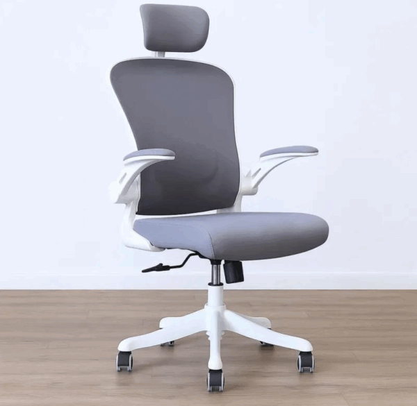 ergonomic office desk chair, adjustable ergonomic office chair, ergonomic swivel desk chair, mesh ergonomic office chair, office chair with lumbar support, ergonomic high back office chair, ergonomic chair adjustable height, office task chair ergonomic design, padded seat ergonomic chair, breathable mesh back desk chair, ergonomic office chair with arms, ergonomic fabric desk chair, ergonomic chair with tilt lock, ergonomic chair with headrest, executive ergonomic office chair, ergonomic chair for back pain, posture support office chair, ergonomic chair breathable fabric, ergonomic desk chair Kenya, ergonomic chair Nairobi, furniture ergonomic office chair, ergonomic seating for computer desk, ergonomic office chair modern style, ergonomic chair with soft padding, ergonomic chair stable five star base, ergonomic chair with adjustable armrests, ergonomic chair with steel frame, ergonomic chair multi‑tilt mechanism, ergonomic office chair leatherette, ergonomic chair home office setup, ergonomic chair for daily use, ergonomic chair long hours, ergonomic chair swivel base, ergonomic chair with silent casters, ergonomic chair easy assembly, ergonomic chair tilt tension control, ergonomic chair seat depth adjustable, ergonomic chair with waterfall edge seat, ergonomic chair ergonomic backrest curve, modern ergonomic desk chair, ergonomic chair stylish design, ergonomic chair durable materials, ergonomic chair value for money, ergonomic chair premium, ergonomic chair wash‑clean upholstery, ergonomic chair compact design, ergonomic chair large weight capacity, ergonomic chair mesh & fabric, ergonomic chair fixed armrests, ergonomic chair 3D armrests, ergonomic chair breathable back mesh, ergonomic chair head cushion, ergonomic chair padded armrests, ergonomic chair recline angle control, ergonomic chair tilt‑lock function, ergonomic chair mid‑back support, ergonomic chair heavy duty gas lift, ergonomic chair safe locking mechanism, ergonomic chair anti‑tip base, ergonomic chair comfortable foam seat, ergonomic chair ergonomic engineering, ergonomic chair for office workers, ergonomic chair for home office, ergonomic chair minimal footprint, ergonomic chair multipurpose, ergonomic chair low maintenance, ergonomic chair stain resistant cover, ergonomic chair colour options, ergonomic chair black, ergonomic chair grey, ergonomic chair brown leather, ergonomic chair fabric cover, ergonomic chair vinyl alternative, ergonomic chair aesthetic appeal, ergonomic chair executive look, ergonomic chair plush comfort, ergonomic chair budget friendly, ergonomic chair high end, ergonomic office chair with warranty, ergonomic desk chair with safety standard, ergonomic chair ISO certified (if applicable), ergonomic chair furniture tag, ergonomic chair marketplace listing, ergonomic chair product listing, ergonomic chair search tag, ergonomic chair filter tag, ergonomic chair home furniture, ergonomic chair corporate office, ergonomic chair workstation, ergonomic chair computer use, ergonomic chair conference use, ergonomic chair meeting room, ergonomic chair study room, ergonomic chair school office, ergonomic chair clinic use, ergonomic chair for startup office, ergonomic chair for managers, ergonomic chair for employees, ergonomic chair for long meetings, ergonomic chair back posture protection, ergonomic chair ergonomic support system, ergonomic chair flexible back mechanism, ergonomic chair durable stitching, ergonomic chair reinforced joints, ergonomic chair tilt‑and‑lock, ergonomic chair adjustable back height, ergonomic chair adjustable back angle, ergonomic chair seat height range, ergonomic chair swivel 360°, ergonomic chair smooth rolling wheels, ergonomic chair floor‑friendly casters, ergonomic chair ergonomic foam padding, ergonomic chair advanced mechanism, ergonomic chair contractor style, ergonomic chair user comfort, ergonomic chair workstation furniture, ergonomic chair premium upholstery, ergonomic chair breathable seat padding, ergonomic chair cooling mesh back, ergonomic chair heat‑dissipating back, ergonomic chair orthopedic support, ergonomic chair health benefit, ergonomic chair reduce fatigue, ergonomic chair enhance productivity, ergonomic chair posture improvement.