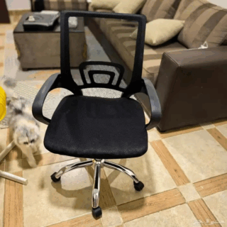 Office Mesh Clerical Chair, Mesh Office Chair, Clerical Office Chair, Office Chair with Mesh Back, Ergonomic Mesh Chair, Office Task Chair, Swivel Mesh Chair, Office Work Chair, Mesh Back Clerical Chair, Office Mesh Chair, Comfortable Office Chair, Adjustable Office Chair, Mesh Chair with Wheels, Breathable Mesh Office Chair, Office Chair for Staff, Staff Office Chair, Office Chair for Clerks, Mesh Desk Chair, Mesh Swivel Chair, Computer Office Chair, Task Office Chair, Mesh Chair for Office, Office Chair with Lumbar Support, Ergonomic Clerical Chair, Office Mesh Task Chair, Mesh Work Chair, Office Chair for Employees, Adjustable Clerical Chair, Mesh Rolling Chair, Office Chair with Armrests, Office Chair for Long Hours, Comfortable Mesh Desk Chair, Modern Mesh Office Chair, Office Mesh Furniture, Office Chair for Workstation, Clerical Chair for Office, Mesh Chair with Headrest, Office Mesh Seating, Mesh Task Office Chair, Ergonomic Office Chair with Mesh Back, Office Mesh Swivel Chair, Lightweight Office Chair, Office Chair with Breathable Mesh, Mesh Computer Chair, Office Desk Chair, Mesh Clerical Office Furniture, Mesh Office Chair Adjustable Height, Mesh Executive Chair, Office Chair with Tilt Function, Comfortable Clerical Chair, Office Chair with Support, Mesh Chair with Adjustable Armrests, Modern Office Mesh Chair, Mesh Office Chair with Lumbar Support, Office Mesh Chair Ergonomic Design, Professional Mesh Chair, Staff Desk Chair, Office Task Seating, Office Workstation Chair, Mesh Chair for Computer Work, Office Chair with Back Support, Office Mesh Chair with Wheels, Mesh Clerical Seating, Adjustable Mesh Task Chair, Ergonomic Task Chair, Mesh Workstation Chair, Office Chair for Daily Use, Office Mesh Chair for Home, Home Office Mesh Chair, Mesh Office Chair for Productivity, Comfortable Mesh Office Seating, Office Mesh Furniture Chair, Office Staff Seating, Mesh Back Ergonomic Chair, Office Chair with Tilt and Lock, Office Mesh Desk Chair, Mesh Office Chair for Home Office, Comfortable Task Chair, Mesh Back Work Chair, Office Furniture Mesh Chair, Office Chair for Work from Home, Mesh Swivel Desk Chair, Adjustable Mesh Office Chair, Office Chair for Employees Comfort, Modern Clerical Chair, Office Work Chair Mesh Design, Office Mesh Seating Solution, Office Chair with Breathable Design, Mesh Office Chair with Support, Office Furniture for Staff, Office Task Chair Mesh, Mesh Desk Chair with Adjustable Height, Office Mesh Chair with Head Support, Ergonomic Mesh Back Chair, Office Chair for Staff Desk, Office Chair with Mesh Fabric, Mesh Chair with Wheels and Tilt, Office Work Chair with Armrest, Mesh Adjustable Chair, Office Chair with Cushion Seat, Comfortable Mesh Chair for Office, Office Furniture Mesh Seating, Office Mesh Task Seating, Office Mesh Computer Chair, Modern Mesh Clerical Furniture, Office Chair for Workspace, Mesh Workstation Furniture, Office Mesh Chair with Cushion, Staff Office Furniture, Professional Mesh Chair, Office Desk Mesh Chair, Workstation Mesh Chair, Office Mesh Furniture Collection, Office Mesh Chair Compact, Small Mesh Office Chair, Space Saving Mesh Chair, Mesh Chair with Adjustable Features, Office Mesh Task Furniture, Mesh Chair for Corporate Office, Office Mesh Work Chair, Mesh Chair for Productivity, Mesh Back Task Office Chair, Ergonomic Mesh Furniture, Mesh Office Chair for Long Sitting, Adjustable Office Task Chair, Office Chair with Soft Cushion, Mesh Chair Modern Design, Office Chair for Clerk, Comfortable Office Furniture, Office Furniture Mesh Back Chair, Office Mesh Chair with Arm Support, Office Chair Modern Mesh Design, Office Work Chair with Lumbar Support, Adjustable Clerical Mesh Chair, Office Chair Compact Design, Professional Work Chair, Office Furniture Mesh Collection, Mesh Desk Chair with Comfort Seat, Ergonomic Office Furniture, Office Chair Mesh Fabric, Mesh Chair with Tilt Lock, Office Chair for Study Table, Office Mesh Computer Workstation Chair, Office Mesh Chair with Comfort, Lightweight Mesh Office Furniture, Mesh Chair with Adjustable Seat Height, Office Furniture Ergonomic Chair, Mesh Office Chair for Employees, Mesh Chair for Conference Room, Office Mesh Swivel Seating, Office Furniture Modern Mesh Chair, Mesh Office Furniture Design, Mesh Office Chair Adjustable Arms, Office Mesh Furniture Set, Office Chair Mesh Material, Mesh Back Office Work Chair, Office Chair Mesh Frame, Professional Mesh Seating, Office Chair with Ergonomic Mesh Support, Mesh Furniture for Office Work, Office Chair for Staff Workstation, Office Furniture Chair Mesh, Mesh Task Seating for Professionals, Office Chair for Staff Area, Mesh Chair for Long Hours, Office Desk Furniture Mesh, Modern Clerical Office Furniture, Mesh Ergonomic Task Chair, Mesh Chair Adjustable Lumbar, Office Chair Compact Mesh, Office Furniture for Productivity, Mesh Office Furniture Solutions, Comfortable Mesh Work Chair, Mesh Chair for Small Office, Office Mesh Furniture Modern Look, Mesh Back Professional Chair, Adjustable Office Mesh Chair, Mesh Office Chair for Employees, Office Mesh Chair with Adjustable Height, Mesh Task Office Furniture, Mesh Chair with Strong Base, Office Chair with Rolling Wheels, Mesh Back Chair for Staff, Mesh Work Chair for Professionals, Office Chair for Typing, Mesh Chair for Daily Use, Comfortable Mesh Seating, Office Furniture Chair for Clerks, Office Chair for Receptionist, Mesh Back Staff Chair, Clerical Furniture Set, Mesh Ergonomic Office Seating, Mesh Back Workstation Chair, Professional Office Mesh Furniture, Ergonomic Office Chair Mesh Design, Mesh Task Chair for Home Office, Office Mesh Chair Compact Design, Breathable Office Chair for Staff, Mesh Computer Workstation Chair, Office Mesh Desk Seating, Mesh Chair for Productivity and Comfort, Office Furniture for Corporate Staff, Mesh Work Chair Adjustable, Mesh Office Chair for Comfort, Modern Office Mesh Seating, Ergonomic Mesh Furniture for Office, Office Chair with Back Mesh Support, Mesh Workstation Furniture Design, Office Mesh Chair for Professionals, Mesh Clerical Office Seating, Mesh Chair for Efficiency, Office Furniture Mesh Design, Mesh Back Task Chair, Modern Clerical Furniture Mesh, Office Desk Chair Mesh Back, Mesh Chair with Comfortable Cushion, Office Mesh Task Seating Collection, Office Furniture Mesh Chair Design, Mesh Office Furniture Compact, Office Mesh Work Seating, Office Mesh Furniture Modern Design, Ergonomic Mesh Office Chair Adjustable, Office Furniture for Home Workspace, Mesh Chair with Supportive Backrest, Modern Mesh Furniture for Office, Office Chair Mesh and Fabric Design, Mesh Chair Compact, Office Furniture for Desk Area, Mesh Chair for Office Setup, Comfortable Office Mesh Design, Mesh Chair for Workstation Setup, Compact Office Mesh Chair, Mesh Desk Chair Modern, Office Chair for Everyday Work, Mesh Furniture Ergonomic Setup, Mesh Office Chair High Back, Mesh Back Clerical Furniture, Office Furniture Mesh Seating Setup, Office Chair with Flexible Backrest, Office Chair for Continuous Use, Mesh Furniture Lightweight Design, Breathable Chair for Long Hours, Comfortable Workstation Mesh Chair, Office Furniture for Workstation Setup, Mesh Desk Furniture, Professional Mesh Office Seating, Mesh Back Office Chair Compact, Mesh Office Chair for Space Saving, Office Chair Mesh Collection, Compact Clerical Furniture Mesh, Mesh Office Furniture for Modern Workspace, Ergonomic Mesh Seating for Staff, Office Chair with Adjustable Back, Mesh Chair with Cushion Seat, Office Chair Mesh Back with Wheels, Mesh Office Chair with Seat Support, Mesh Furniture for Compact Offices, Adjustable Mesh Chair with Tilt, Modern Office Mesh Furniture Collection, Ergonomic Mesh Office Work Chair, Office Chair for Desk Work, Office Chair Mesh Adjustable, Professional Mesh Furniture for Workspaces, Mesh Back Chair for Office Comfort, Office Mesh Seating Compact, Mesh Back Office Furniture for Staff, Office Chair Mesh Frame Design, Office Furniture for Small Workstations, Mesh Office Chair Ergonomic Comfort, Mesh Back Office Desk Furniture, Mesh Office Furniture with Armrest, Comfortable Office Mesh Chair for Long Sitting, Office Mesh Chair for Work Comfort, Mesh Chair with Modern Look, Lightweight Mesh Office Chair, Mesh Furniture for Modern Office Setup, Mesh Office Chair with Back Cushion, Office Chair Mesh for Corporate Use, Mesh Furniture Office Collection, Mesh Office Chair Durable, Mesh Work Chair for Long Hours, Comfortable Mesh Seating Solutions, Ergonomic Mesh Desk Furniture, Office Mesh Work Furniture, Mesh Office Desk Seating Design, Office Mesh Chair Modern Style, Compact Mesh Furniture for Office, Mesh Back Work Chair Adjustable, Office Furniture with Mesh Seat, Office Chair with Mesh Fabric and Wheels, Office Mesh Task Chair for Workstations, Mesh Chair Ergonomic and Stylish, Modern Mesh Workstation Chair, Mesh Office Furniture for Employees, Ergonomic Mesh Desk Chair with Lumbar Support, Office Mesh Furniture for Business Use, Breathable Mesh Office Furniture, Mesh Work Chair Modern Design, Office Mesh Chair for Efficiency, Mesh Office Seating with Armrest, Office Furniture for Staff Desk, Mesh Back Office Seating, Office Mesh Workstation Seating, Professional Office Mesh Furniture Design