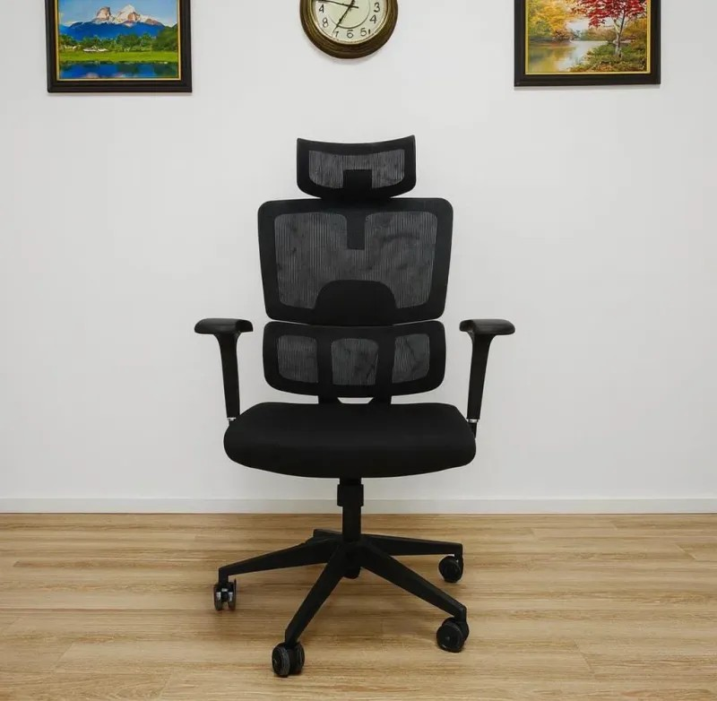 Executive Mesh Ergonomic Chair