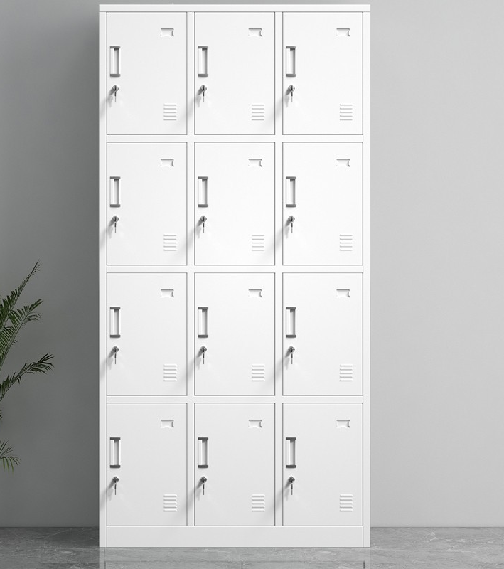 12-door steel locker cabinet, 12 door locker cabinet, steel locker cabinet 12 door, twelve door steel locker, metal locker cabinet, steel storage locker, office locker cabinet, industrial steel locker, locker cabinet with 12 compartments, multi door locker cabinet, steel locker for office, employee locker cabinet, staff locker cabinet, workplace locker cabinet, commercial locker cabinet, industrial locker storage, metal storage locker, steel locker furniture, locker cabinet for staff use, office storage locker, locker cabinet for employees, locker cabinet for workplace, locker cabinet with locks, lockable steel locker cabinet, secure locker cabinet, steel locker with lock, individual compartment locker, personal storage locker, locker cabinet for uniforms, locker cabinet for bags, locker cabinet for personal items, locker cabinet for valuables, steel locker cabinet with ventilation, ventilated locker cabinet, powder coated steel locker, durable steel locker cabinet, heavy duty locker cabinet, industrial grade steel locker, locker cabinet for factories, locker cabinet for warehouses, locker cabinet for workshops, locker cabinet for production units, locker cabinet for manufacturing plants, locker cabinet for industrial use, locker cabinet for commercial use, locker cabinet for institutional use, locker cabinet for professional use, locker cabinet for offices, locker cabinet for corporate offices, locker cabinet for IT offices, locker cabinet for coworking spaces, locker cabinet for call centers, locker cabinet for BPO offices, locker cabinet for schools, locker cabinet for colleges, locker cabinet for universities, locker cabinet for hostels, locker cabinet for dormitories, locker cabinet for student use, locker cabinet for classrooms, locker cabinet for staff rooms, locker cabinet for teachers, locker cabinet for libraries, locker cabinet for training centers, locker cabinet for examination centers, locker cabinet for hospitals, locker cabinet for clinics, locker cabinet for nursing staff, locker cabinet for medical staff, locker cabinet for healthcare facilities, locker cabinet for laboratories, locker cabinet for research centers, locker cabinet for pharmacies, locker cabinet for gyms, locker cabinet for fitness centers, locker cabinet for sports facilities, locker cabinet for locker rooms, locker cabinet for changing rooms, locker cabinet for swimming pools, locker cabinet for clubs, locker cabinet for recreation centers, locker cabinet for factories staff, locker cabinet for shop floor workers, locker cabinet for industrial staff, locker cabinet for security staff, locker cabinet for police stations, locker cabinet for fire stations, locker cabinet for government offices, locker cabinet for public sector offices, locker cabinet for administrative offices, locker cabinet for municipal offices, locker cabinet for court buildings, locker cabinet for banks, locker cabinet for financial institutions, locker cabinet for insurance offices, locker cabinet for retail stores, locker cabinet for malls, locker cabinet for shopping centers, locker cabinet for supermarkets, locker cabinet for showrooms, locker cabinet for service centers, locker cabinet for automobile workshops, locker cabinet for car service centers, locker cabinet for airports, locker cabinet for railway stations, locker cabinet for transport hubs, locker cabinet for logistics centers, locker cabinet for warehouses, locker cabinet for storage rooms, locker cabinet for supply rooms, locker cabinet for utility rooms, locker cabinet for staff facilities, locker cabinet for employee welfare areas, locker cabinet for canteens, locker cabinet for break rooms, locker cabinet for locker areas, locker cabinet for changing areas, locker cabinet for staff entrances, locker cabinet for secure storage areas, locker cabinet for controlled access areas, locker cabinet for restricted areas, locker cabinet for personal storage solutions, locker cabinet for organized storage, locker cabinet for space efficient storage, locker cabinet for multi user storage, locker cabinet for shared facilities, locker cabinet for group storage, locker cabinet for individual lockers, locker cabinet with twelve lockers, locker cabinet with vertical compartments, locker cabinet with equal size doors, locker cabinet with name tag holders, locker cabinet with label slots, locker cabinet with ventilation slots, locker cabinet with louvers, locker cabinet with air vents, locker cabinet with reinforced doors, locker cabinet with strong hinges, locker cabinet with cam locks, locker cabinet with padlock provision, locker cabinet with key lock system, locker cabinet with master key option, locker cabinet with secure locking mechanism, locker cabinet with anti theft design, locker cabinet with tamper resistant design, locker cabinet with sturdy construction, locker cabinet with welded body, locker cabinet with cold rolled steel, locker cabinet with corrosion resistant coating, locker cabinet with rust resistant finish, locker cabinet with scratch resistant paint, locker cabinet with epoxy powder coating, locker cabinet with smooth edges, locker cabinet with safety folded edges, locker cabinet with ergonomic handles, locker cabinet with recessed handles, locker cabinet with integrated handles, locker cabinet with modern design, locker cabinet with minimalist design, locker cabinet with industrial design, locker cabinet with professional appearance, locker cabinet with clean finish, locker cabinet with uniform color, locker cabinet with grey finish, locker cabinet with blue finish, locker cabinet with white finish, locker cabinet with beige finish, locker cabinet with custom color option, locker cabinet with matte finish, locker cabinet with textured finish, locker cabinet with strong base, locker cabinet with stable footing, locker cabinet with adjustable feet, locker cabinet with floor standing design, locker cabinet with wall mount option, locker cabinet with compact footprint, locker cabinet with vertical storage design, locker cabinet with space saving layout, locker cabinet with high storage capacity, locker cabinet with organized compartments, locker cabinet with easy maintenance, locker cabinet with easy cleaning surface, locker cabinet with long lasting durability, locker cabinet with commercial grade quality, locker cabinet with institutional grade build, locker cabinet with heavy usage capacity, locker cabinet with load bearing shelves, locker cabinet with reinforced structure, locker cabinet with strong door alignment, locker cabinet with anti sag doors, locker cabinet with balanced construction, locker cabinet with quality hardware, locker cabinet with tested durability, locker cabinet with reliable performance, locker cabinet with professional furniture standards, locker cabinet with industrial furniture standards, locker cabinet with office furniture standards, locker cabinet with safety compliance, locker cabinet with quality certification, locker cabinet for bulk storage needs, locker cabinet for large staff strength, locker cabinet for multiple users, locker cabinet for shift workers, locker cabinet for uniform storage, locker cabinet for PPE storage, locker cabinet for helmet storage, locker cabinet for shoes storage, locker cabinet for tool storage, locker cabinet for equipment storage, locker cabinet for document storage, locker cabinet for secure item storage, locker cabinet for daily use storage, locker cabinet for long term storage, locker cabinet for temporary storage, locker cabinet for assigned lockers, locker cabinet for numbered lockers, locker cabinet for coded lockers, locker cabinet for organized locker systems, locker cabinet for modular locker layout, locker cabinet for expandable storage systems, locker cabinet for workplace organization, locker cabinet for employee organization solutions, locker cabinet for staff management facilities, locker cabinet for facility management, locker cabinet for infrastructure planning, locker cabinet for industrial interiors, locker cabinet for commercial interiors, locker cabinet for office interiors, locker cabinet for institutional interiors, locker cabinet for facility fitouts, locker cabinet for turnkey projects, locker cabinet for bulk procurement, locker cabinet for furniture suppliers, locker cabinet for office furniture dealers, locker cabinet for industrial furniture suppliers, locker cabinet for institutional furniture supply, locker cabinet for government tenders, locker cabinet for corporate procurement, locker cabinet for large scale installations, locker cabinet for professional storage solutions, locker cabinet for secure storage furniture, locker cabinet for steel furniture category, locker cabinet for metal furniture range, locker cabinet for workplace storage furniture, locker cabinet for employee locker solutions, locker cabinet for modern storage needs, locker cabinet for high performance storage systems
