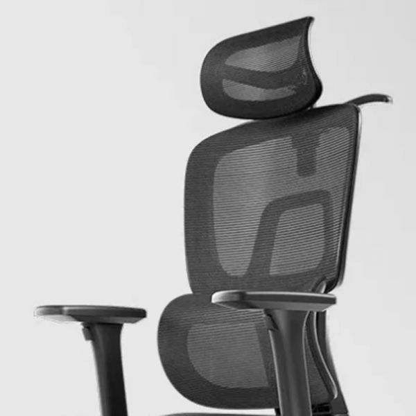 orthopedic office executive chair, executive orthopedic chair, ergonomic orthopedic office chair, orthopedic executive seating, orthopedic desk chair, office chair orthopedic support, orthopedic ergonomic chair, executive chair with lumbar support, spinal support office chair, back pain relief office chair, posture correction office chair, orthopedic high back executive chair, orthopedic adjustable chair, orthopedic mesh executive chair, orthopedic leather executive chair, orthopedic swivel chair, orthopedic reclining office chair, office chair for back pain, orthopedic computer chair, orthopedic office seating, premium orthopedic executive chair, orthopedic work chair, office chair for spine alignment, orthopedic office chair with footrest, lumbar support executive chair, ergonomic back care chair, orthopedic posture chair, orthopedic chair for long hours, orthopedic chair with headrest, orthopedic chair with neck support, ergonomic chair for spine health, executive orthopedic chair adjustable, orthopedic tilt chair, orthopedic recline chair, heavy duty orthopedic office chair, orthopedic chair with armrests, padded orthopedic office chair, cushioned orthopedic executive chair, orthopedic rolling chair, orthopedic caster chair, orthopedic task chair, orthopedic workstation chair, chair for sciatica pain relief, back-friendly office chair, office chair for herniated disc, chair for lower back pain, chair for tailbone pain, coccyx support office chair, orthopedic ergonomic executive seating, pain relief ergonomic chair, orthopedic chair breathable design, orthopedic mesh back support chair, orthopedic chair padded seat, orthopedic seat cushion office chair, premium leather orthopedic chair, luxury orthopedic executive chair, medical grade ergonomic chair, medically recommended office chair, orthopedic recommended office seating, orthopedic chair for desk work, office chair with spinal alignment system, orthopedic lumbar pillow integrated chair, orthopedic headrest executive chair, chair for cervical spine support, orthopedic executive chair with arms, orthopedic chair adjustable height, adjustable lumbar orthopedic chair, 3D armrest orthopedic chair, 4D armrest executive chair, orthopedic chair heavy duty frame, orthopedic chair high resilience foam, memory foam orthopedic office chair, orthopedic office chair breathable mesh, ergonomic orthopedic swivel chair, orthopedic chair with wheels, executive orthopedic chair cushioned, super comfortable orthopedic chair, chiropractic recommended chair, ergonomic chair with orthopedic support, orthopedic chair for healthy sitting, office wellness chair, orthopedic seat depth adjustment, orthopedic chair with synchro tilt, orthopedic multi tilt function chair, ergonomic executive chair for posture, work chair with orthopedic support, orthopedic computer workstation chair, orthopedic office furniture chair, orthopedic chair for managers, director orthopedic chair, CEO orthopedic executive chair, senior executive orthopedic chair, orthopedic chair for long sitting hours, orthopedic chair for productivity, orthopedic chair with ergonomic contours, molded seat orthopedic office chair, spine-shaped back support office chair, orthopedic chair with mesh lumbar panel, executive chair with orthopedic cushioning, orthopedic backrest office chair, orthopedic ergonomic executive furniture, orthopedic chair anti fatigue design, orthopedic knee angle support chair, orthopedic chair for long meetings, orthopedic desk chair comfortable, orthopedic chair for home office, orthopedic study chair, orthopedic gaming office chair, hybrid ergonomic orthopedic chair, orthopedic office reclining chair, orthopedic chair smooth tilt, orthopedic chair with stabilizing base, ergonomic executive chair deluxe, orthopedic chair elegant design, orthopedic professional chair, office chair for doctors orthopedic design, orthopedic chair for clinics, orthopedic chair corporate office, office chair with certified orthopedic support, medically tested orthopedic chair, professional posture chair, orthopedic ergonomic backrest, ergonomic seat with orthopedic shaping, orthopedic shoulder support chair, orthopedic neck and head support chair, orthopedic stool alternative chair, high-end orthopedic seating, orthopedic executive armchair, orthopedic thick padding office chair, orthopedic 360 swivel chair, adjustable seat orthopedic chair, orthopedic office chair adjustable backrest, ergonomic orthopedic executive seating solution, orthopedic high-back mesh executive chair, orthopedic mid-back executive chair, orthopedic office lounge chair, orthopedic visitor chair executive style, ergonomic office chair for bad posture, office chair for spine health, orthopedic seat support executive chair, ergonomic office chair for chronic pain, orthopedic relief chair, orthopedic pressure relief office chair, orthopedic seat stabilization chair, orthopedic office chair for overweight users, heavy duty orthopedic executive seating, reinforced frame orthopedic chair, ergonomic orthopedic chair wide seat, orthopedic big and tall office chair, orthopedic XXL office chair, orthopedic office chair premium model, orthopedic mesh and leather hybrid chair, luxury mesh orthopedic executive chair, orthopedic executive chair with full support, orthopedic chair for ergonomic alignment, orthopedic ergonomic solution chair, orthopedic contoured back office chair, orthopedic dynamic lumbar support chair, orthotic support office chair, orthopedic desk chair for adults, orthopedic chair for students, orthopedic chair for seniors, orthopedic workplace chair, ergonomic chair certified for posture, orthopedic executive furniture seating, orthopedically engineered office chair, medically engineered ergonomic chair, orthopedic executive chair breathable, orthopedic chair cool mesh design, orthopedic temperature regulating chair, orthopedic chair with ventilated back, orthopedic chair sweat resistant, orthopedic office chair adjustable features, orthopedic tilt tension chair, ergonomic orthopedic rocking tilt chair, orthopedic chair anti-sweat cushion, orthopedic memory foam seat, orthopedic waterfall edge seat chair, orthotic seat office chair, orthopedic pelvic alignment chair, ergonomic chair for hip pain, orthopedic hip support chair, orthopedic elevated seat chair, orthopedic edge design chair, orthopedic chair for professional work, orthopedic chair comfortable seating, orthopedic chair for all day sitting, anti pressure seat orthopedic, orthopedic wide back executive chair, ergonomic executive chair with orthopedic design, orthopedic chair for pain free sitting, orthopedic office chair ergonomic frame, orthopedic contoured seat cushion, orthopedic dual layer foam chair, orthopedic breathable fabric office chair, mesh hybrid orthopedic chair, orthopedic leather padded chair, orthopedic stitched cushion executive chair, orthopedic neck pillow chair, orthopedic adjustable lumbar panel, orthopedic back pressure relief chair, posture aligning office chair, orthopedic office chair curved backrest, office chair with medical support design, ergonomic orthopedic therapy chair, chair for back injury recovery, orthopedic home and office chair, therapeutic executive office chair, orthopedic pain management chair, ergonomic health chair orthopedic model, orthopedic long hour working chair, orthopedic thick padding support chair, orthopedic executive swivel recliner, orthopedic chair with extendable footrest, orthopedic executive recliner chair, orthopedic chair multi functional, orthopedic performance office chair, orthopedic chair with durable casters, soft rolling casters orthopedic chair, noise free casters orthopedic chair, orthopedic quiet mobility chair, orthopedic chair scratch-proof wheels, orthopedic chair aluminum base, orthopedic stainless steel base chair, orthopedic nylon base chair, orthopedic heavy duty star base, orthopedic gas lift executive chair, class 4 gas lift orthopedic chair, orthopedic executive chair with certification, adjustable tension orthopedic chair, responsive backrest orthopedic chair, ergonomic orthopedic office chair best posture, spine correct seating system, orthopedic chair ultimate support, premium orthopedic office seat, orthopedic deluxe comfort executive chair, orthopedically contoured back support, adjustable ergonomic orthopedic throne, orthopedic seated posture corrector chair, orthopedic task solution chair, premium executive chair orthopedic build, orthopedic chair for luxury offices, orthopedic chair boardroom design, orthopedic chair for managers cabin, orthopedic chair for CEO office, orthopedic chair high resilience cushioning, orthopedic medical grade foam, orthopedic zero pressure seat, orthopedic fatigue reducing chair, ergonomic office chair with firm lumbar, orthopedic firm seat office chair, orthopedic soft seat executive chair, orthopedic mesh lumbar cushion, orthopedic reclining back executive chair, 135 degree recline orthopedic chair, 150 degree recline orthopedic executive chair (if applicable), orthopedically balanced seating, ergonomic therapeutic orthopedic chair, premium comfort orthopedic executive chair, orthopedic chair stylish design, orthopedic chair modern design, orthopedic chair premium upholstery, orthopedic eco leather executive chair, orthopedic PU leather executive chair, orthopedic bonded leather chair, orthopedic fabric executive chair, orthopedic executive seating solution, ergonomic orthopedic workstation furniture, orthopedic workplace ergonomics chair, orthopedic pain reduction chair, orthopedic ergonomically tuned chair, orthopedic high density foam seating, orthopedic office chair adjustable arms, height adjustable arms orthopedic, pivot arms orthopedic chair, horizontal adjustable armrests orthopedic, soft pad armrests orthopedic, gel padded armrests orthopedic, orthopedic arm support chair, ergonomic orthopedic chair for neck pain, orthopedic anti-strain chair, orthopedic support solution office chair, orthopedic scientifically designed chair, orthopedic office therapy chair, spine relaxing orthopedic chair, orthopedic high performance chair, orthopedic intelligent support chair, ergonomic office chair orthopedic benefits, orthopedic next-gen executive chair, orthopedic premium mesh seating, orthopedic office recliner, orthopedic chair for corporate executives, orthopedic directors chair, orthopedic pro executive chair, orthopedic continuous lumbar support chair, orthopedic symmetrical back support, orthopedic support for scoliosis (general), orthopedic coccyx relief padding chair, orthopedic anti slip seat design, orthopedic shock absorption chair, orthopedic structural support chair, professionally designed orthopedic chair, orthopedic desk chair luxury, orthopedic seat curve contour, posture enhancing executive chair, office chair spine corrector, orthopedic sitting solution office chair, orthopedic health seating system, ergonomic chair with orthopedic angle, orthopedic chair with seat angle adjust, orthopedic chair full body support, orthopedic chair dynamic spine support, orthopedic active support office chair, orthopedic elite class executive chair.