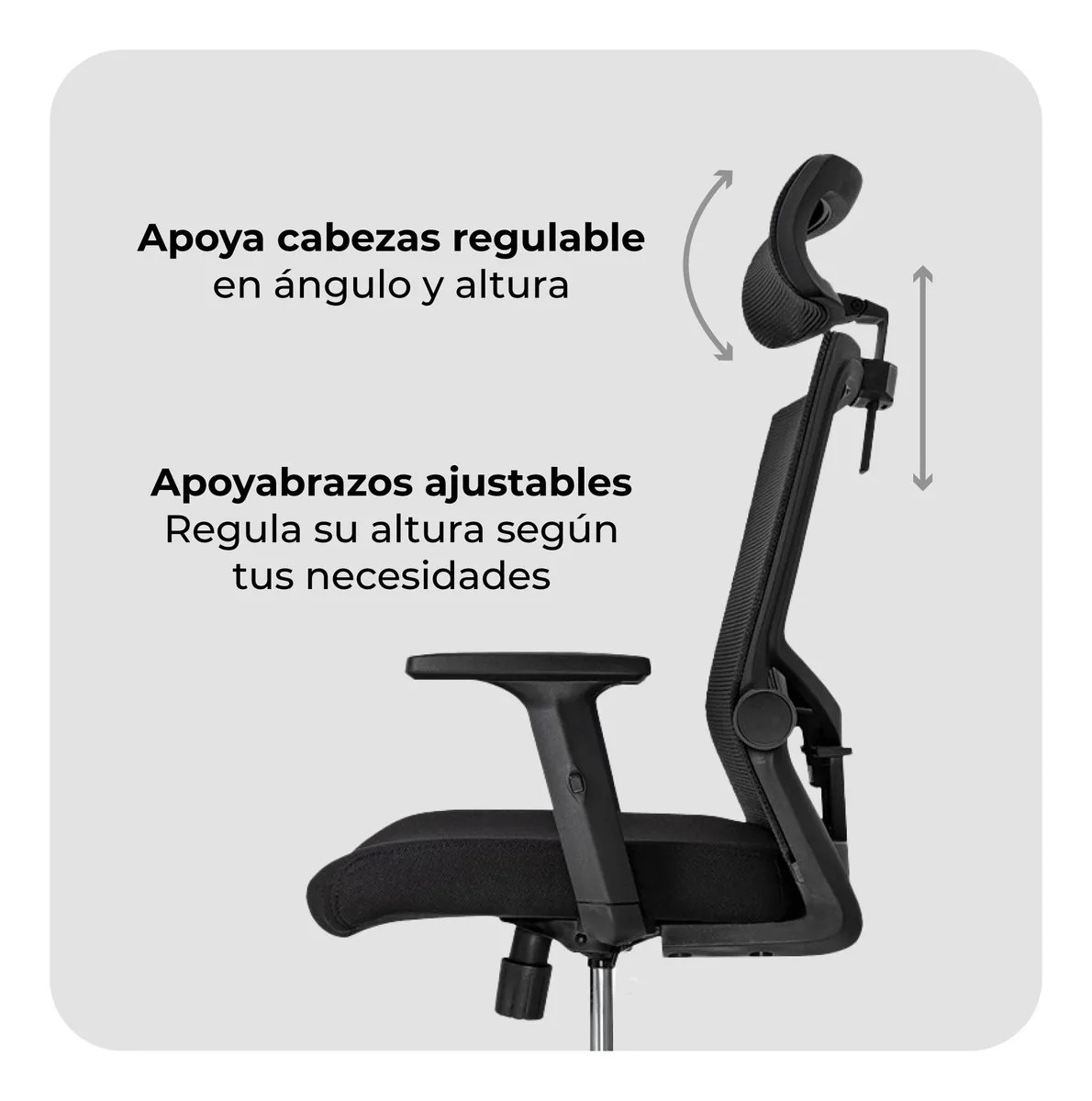 office executive ergonomic seat, executive ergonomic office seat, ergonomic executive office chair, office executive ergonomic chair, executive office ergonomic seating, ergonomic seat for executive office, executive ergonomic chair for office, office executive chair ergonomic design, executive ergonomic office seating solution, executive office seat with ergonomic support, ergonomic executive chair for long hours, executive ergonomic chair for back support, office executive ergonomic chair for posture, executive office chair ergonomic comfort, ergonomic executive chair for professionals, office executive ergonomic seating furniture, executive ergonomic chair with lumbar support, office executive chair with ergonomic backrest, executive ergonomic chair with posture correction, office executive ergonomic chair for spine support, executive ergonomic office seat for lower back pain, office executive chair ergonomic lumbar, executive ergonomic chair with headrest, office executive chair with neck support, executive ergonomic chair for cervical support, office executive ergonomic chair for healthy sitting, executive ergonomic chair for pain free office work, office executive chair ergonomic seating system, executive ergonomic chair for productivity, office executive ergonomic chair for daily use, executive ergonomic chair for corporate office, office executive ergonomic chair for cabin, executive ergonomic chair for directors, office executive ergonomic chair for managers, executive ergonomic chair for CEO office, office executive ergonomic chair for leadership office, executive ergonomic chair for private office, office executive ergonomic chair for boardroom cabin, executive ergonomic chair with adjustable height, office executive chair with gas lift ergonomic, executive ergonomic chair with adjustable armrests, office executive chair ergonomic arm support, executive ergonomic chair with tilt mechanism, office executive chair with recline ergonomic, executive ergonomic chair with synchro tilt, office executive ergonomic chair with tilt lock, executive ergonomic chair with seat depth adjustment, office executive ergonomic chair with waterfall seat, executive ergonomic chair with contoured seat, office executive ergonomic chair with high density foam, executive ergonomic chair with premium cushioning, office executive ergonomic chair with breathable back, executive ergonomic chair with mesh back, office executive ergonomic chair mesh design, executive ergonomic chair with fabric upholstery, office executive ergonomic chair fabric finish, executive ergonomic chair with leather upholstery, office executive ergonomic chair leather finish, executive ergonomic chair with faux leather, office executive ergonomic chair premium upholstery, executive ergonomic chair with chrome base, office executive ergonomic chair with steel base, executive ergonomic chair with nylon base, office executive ergonomic chair strong base, executive ergonomic chair with smooth castors, office executive ergonomic chair rolling wheels, executive ergonomic chair with 360 degree swivel, office executive ergonomic chair swivel function, executive ergonomic chair for computer work, office executive ergonomic chair for desk work, executive ergonomic chair for workstation, office executive ergonomic chair for IT professionals, executive ergonomic chair for programmers, office executive ergonomic chair for designers, executive ergonomic chair for architects, office executive ergonomic chair for engineers, executive ergonomic chair for consultants, office executive ergonomic chair for administrators, executive ergonomic chair for senior executives, office executive ergonomic chair for top management, executive ergonomic chair for enterprise office, office executive ergonomic chair for startup office, executive ergonomic chair for modern offices, office executive ergonomic chair contemporary design, executive ergonomic chair minimalist style, office executive ergonomic chair modern aesthetics, executive ergonomic chair elegant design, office executive ergonomic chair luxury look, executive ergonomic chair premium finish, office executive ergonomic chair professional styling, executive ergonomic chair balanced ergonomics, office executive ergonomic chair scientifically designed, executive ergonomic chair for spine alignment, office executive ergonomic chair orthopedic support, executive ergonomic chair orthopedic design, office executive ergonomic chair medical recommendation, executive ergonomic chair for back pain relief, office executive ergonomic chair for posture improvement, executive ergonomic chair for neck shoulder support, office executive ergonomic chair fatigue reduction, executive ergonomic chair comfort seating, office executive ergonomic chair stress free sitting, executive ergonomic chair healthy office seating, office executive ergonomic chair wellness seating, executive ergonomic chair long sitting comfort, office executive ergonomic chair extended work hours, executive ergonomic chair productivity booster, office executive ergonomic chair efficiency furniture, executive ergonomic chair professional workspace seating, office executive ergonomic chair corporate furniture, executive ergonomic chair office furniture solution, office executive ergonomic chair seating solution, executive ergonomic chair premium office furniture, office executive ergonomic chair modern office solution, executive ergonomic chair reliable office seating, office executive ergonomic chair durable construction, executive ergonomic chair heavy duty build, office executive ergonomic chair scratch resistant, executive ergonomic chair wear resistant upholstery, office executive ergonomic chair long lasting, executive ergonomic chair maintenance free, office executive ergonomic chair easy cleaning, executive ergonomic chair hygienic seating, office executive ergonomic chair moisture resistant, executive ergonomic chair temperature friendly, office executive ergonomic chair breathable comfort, executive ergonomic chair ergonomic excellence, office executive ergonomic chair advanced ergonomics, executive ergonomic chair innovation seating, office executive ergonomic chair comfort technology, executive ergonomic chair smart office seating, office executive ergonomic chair performance seating, executive ergonomic chair executive comfort seat, office executive ergonomic chair leadership comfort, executive ergonomic chair elite office seating, office executive ergonomic chair high end seating, executive ergonomic chair premium executive seat, office executive ergonomic chair executive lifestyle, executive ergonomic chair boardroom comfort, office executive ergonomic chair corporate comfort, executive ergonomic chair power seating, office executive ergonomic chair authority seating, executive ergonomic chair prestige office seat, office executive ergonomic chair status seating, executive ergonomic chair business class seating, office executive ergonomic chair executive work chair