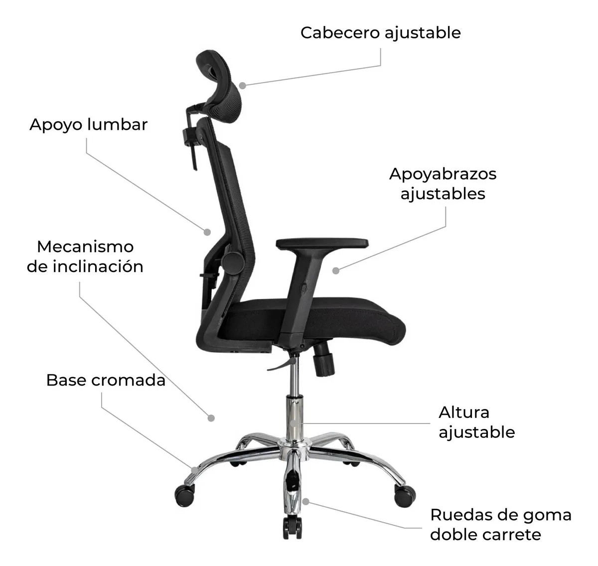office executive ergonomic seat, executive ergonomic office seat, ergonomic executive office chair, office executive ergonomic chair, executive office ergonomic seating, ergonomic seat for executive office, executive ergonomic chair for office, office executive chair ergonomic design, executive ergonomic office seating solution, executive office seat with ergonomic support, ergonomic executive chair for long hours, executive ergonomic chair for back support, office executive ergonomic chair for posture, executive office chair ergonomic comfort, ergonomic executive chair for professionals, office executive ergonomic seating furniture, executive ergonomic chair with lumbar support, office executive chair with ergonomic backrest, executive ergonomic chair with posture correction, office executive ergonomic chair for spine support, executive ergonomic office seat for lower back pain, office executive chair ergonomic lumbar, executive ergonomic chair with headrest, office executive chair with neck support, executive ergonomic chair for cervical support, office executive ergonomic chair for healthy sitting, executive ergonomic chair for pain free office work, office executive chair ergonomic seating system, executive ergonomic chair for productivity, office executive ergonomic chair for daily use, executive ergonomic chair for corporate office, office executive ergonomic chair for cabin, executive ergonomic chair for directors, office executive ergonomic chair for managers, executive ergonomic chair for CEO office, office executive ergonomic chair for leadership office, executive ergonomic chair for private office, office executive ergonomic chair for boardroom cabin, executive ergonomic chair with adjustable height, office executive chair with gas lift ergonomic, executive ergonomic chair with adjustable armrests, office executive chair ergonomic arm support, executive ergonomic chair with tilt mechanism, office executive chair with recline ergonomic, executive ergonomic chair with synchro tilt, office executive ergonomic chair with tilt lock, executive ergonomic chair with seat depth adjustment, office executive ergonomic chair with waterfall seat, executive ergonomic chair with contoured seat, office executive ergonomic chair with high density foam, executive ergonomic chair with premium cushioning, office executive ergonomic chair with breathable back, executive ergonomic chair with mesh back, office executive ergonomic chair mesh design, executive ergonomic chair with fabric upholstery, office executive ergonomic chair fabric finish, executive ergonomic chair with leather upholstery, office executive ergonomic chair leather finish, executive ergonomic chair with faux leather, office executive ergonomic chair premium upholstery, executive ergonomic chair with chrome base, office executive ergonomic chair with steel base, executive ergonomic chair with nylon base, office executive ergonomic chair strong base, executive ergonomic chair with smooth castors, office executive ergonomic chair rolling wheels, executive ergonomic chair with 360 degree swivel, office executive ergonomic chair swivel function, executive ergonomic chair for computer work, office executive ergonomic chair for desk work, executive ergonomic chair for workstation, office executive ergonomic chair for IT professionals, executive ergonomic chair for programmers, office executive ergonomic chair for designers, executive ergonomic chair for architects, office executive ergonomic chair for engineers, executive ergonomic chair for consultants, office executive ergonomic chair for administrators, executive ergonomic chair for senior executives, office executive ergonomic chair for top management, executive ergonomic chair for enterprise office, office executive ergonomic chair for startup office, executive ergonomic chair for modern offices, office executive ergonomic chair contemporary design, executive ergonomic chair minimalist style, office executive ergonomic chair modern aesthetics, executive ergonomic chair elegant design, office executive ergonomic chair luxury look, executive ergonomic chair premium finish, office executive ergonomic chair professional styling, executive ergonomic chair balanced ergonomics, office executive ergonomic chair scientifically designed, executive ergonomic chair for spine alignment, office executive ergonomic chair orthopedic support, executive ergonomic chair orthopedic design, office executive ergonomic chair medical recommendation, executive ergonomic chair for back pain relief, office executive ergonomic chair for posture improvement, executive ergonomic chair for neck shoulder support, office executive ergonomic chair fatigue reduction, executive ergonomic chair comfort seating, office executive ergonomic chair stress free sitting, executive ergonomic chair healthy office seating, office executive ergonomic chair wellness seating, executive ergonomic chair long sitting comfort, office executive ergonomic chair extended work hours, executive ergonomic chair productivity booster, office executive ergonomic chair efficiency furniture, executive ergonomic chair professional workspace seating, office executive ergonomic chair corporate furniture, executive ergonomic chair office furniture solution, office executive ergonomic chair seating solution, executive ergonomic chair premium office furniture, office executive ergonomic chair modern office solution, executive ergonomic chair reliable office seating, office executive ergonomic chair durable construction, executive ergonomic chair heavy duty build, office executive ergonomic chair scratch resistant, executive ergonomic chair wear resistant upholstery, office executive ergonomic chair long lasting, executive ergonomic chair maintenance free, office executive ergonomic chair easy cleaning, executive ergonomic chair hygienic seating, office executive ergonomic chair moisture resistant, executive ergonomic chair temperature friendly, office executive ergonomic chair breathable comfort, executive ergonomic chair ergonomic excellence, office executive ergonomic chair advanced ergonomics, executive ergonomic chair innovation seating, office executive ergonomic chair comfort technology, executive ergonomic chair smart office seating, office executive ergonomic chair performance seating, executive ergonomic chair executive comfort seat, office executive ergonomic chair leadership comfort, executive ergonomic chair elite office seating, office executive ergonomic chair high end seating, executive ergonomic chair premium executive seat, office executive ergonomic chair executive lifestyle, executive ergonomic chair boardroom comfort, office executive ergonomic chair corporate comfort, executive ergonomic chair power seating, office executive ergonomic chair authority seating, executive ergonomic chair prestige office seat, office executive ergonomic chair status seating, executive ergonomic chair business class seating, office executive ergonomic chair executive work chair