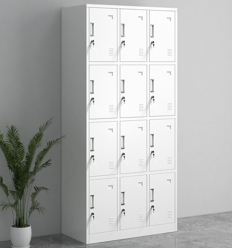 12-door steel locker cabinet, 12 door locker cabinet, steel locker cabinet 12 door, twelve door steel locker, metal locker cabinet, steel storage locker, office locker cabinet, industrial steel locker, locker cabinet with 12 compartments, multi door locker cabinet, steel locker for office, employee locker cabinet, staff locker cabinet, workplace locker cabinet, commercial locker cabinet, industrial locker storage, metal storage locker, steel locker furniture, locker cabinet for staff use, office storage locker, locker cabinet for employees, locker cabinet for workplace, locker cabinet with locks, lockable steel locker cabinet, secure locker cabinet, steel locker with lock, individual compartment locker, personal storage locker, locker cabinet for uniforms, locker cabinet for bags, locker cabinet for personal items, locker cabinet for valuables, steel locker cabinet with ventilation, ventilated locker cabinet, powder coated steel locker, durable steel locker cabinet, heavy duty locker cabinet, industrial grade steel locker, locker cabinet for factories, locker cabinet for warehouses, locker cabinet for workshops, locker cabinet for production units, locker cabinet for manufacturing plants, locker cabinet for industrial use, locker cabinet for commercial use, locker cabinet for institutional use, locker cabinet for professional use, locker cabinet for offices, locker cabinet for corporate offices, locker cabinet for IT offices, locker cabinet for coworking spaces, locker cabinet for call centers, locker cabinet for BPO offices, locker cabinet for schools, locker cabinet for colleges, locker cabinet for universities, locker cabinet for hostels, locker cabinet for dormitories, locker cabinet for student use, locker cabinet for classrooms, locker cabinet for staff rooms, locker cabinet for teachers, locker cabinet for libraries, locker cabinet for training centers, locker cabinet for examination centers, locker cabinet for hospitals, locker cabinet for clinics, locker cabinet for nursing staff, locker cabinet for medical staff, locker cabinet for healthcare facilities, locker cabinet for laboratories, locker cabinet for research centers, locker cabinet for pharmacies, locker cabinet for gyms, locker cabinet for fitness centers, locker cabinet for sports facilities, locker cabinet for locker rooms, locker cabinet for changing rooms, locker cabinet for swimming pools, locker cabinet for clubs, locker cabinet for recreation centers, locker cabinet for factories staff, locker cabinet for shop floor workers, locker cabinet for industrial staff, locker cabinet for security staff, locker cabinet for police stations, locker cabinet for fire stations, locker cabinet for government offices, locker cabinet for public sector offices, locker cabinet for administrative offices, locker cabinet for municipal offices, locker cabinet for court buildings, locker cabinet for banks, locker cabinet for financial institutions, locker cabinet for insurance offices, locker cabinet for retail stores, locker cabinet for malls, locker cabinet for shopping centers, locker cabinet for supermarkets, locker cabinet for showrooms, locker cabinet for service centers, locker cabinet for automobile workshops, locker cabinet for car service centers, locker cabinet for airports, locker cabinet for railway stations, locker cabinet for transport hubs, locker cabinet for logistics centers, locker cabinet for warehouses, locker cabinet for storage rooms, locker cabinet for supply rooms, locker cabinet for utility rooms, locker cabinet for staff facilities, locker cabinet for employee welfare areas, locker cabinet for canteens, locker cabinet for break rooms, locker cabinet for locker areas, locker cabinet for changing areas, locker cabinet for staff entrances, locker cabinet for secure storage areas, locker cabinet for controlled access areas, locker cabinet for restricted areas, locker cabinet for personal storage solutions, locker cabinet for organized storage, locker cabinet for space efficient storage, locker cabinet for multi user storage, locker cabinet for shared facilities, locker cabinet for group storage, locker cabinet for individual lockers, locker cabinet with twelve lockers, locker cabinet with vertical compartments, locker cabinet with equal size doors, locker cabinet with name tag holders, locker cabinet with label slots, locker cabinet with ventilation slots, locker cabinet with louvers, locker cabinet with air vents, locker cabinet with reinforced doors, locker cabinet with strong hinges, locker cabinet with cam locks, locker cabinet with padlock provision, locker cabinet with key lock system, locker cabinet with master key option, locker cabinet with secure locking mechanism, locker cabinet with anti theft design, locker cabinet with tamper resistant design, locker cabinet with sturdy construction, locker cabinet with welded body, locker cabinet with cold rolled steel, locker cabinet with corrosion resistant coating, locker cabinet with rust resistant finish, locker cabinet with scratch resistant paint, locker cabinet with epoxy powder coating, locker cabinet with smooth edges, locker cabinet with safety folded edges, locker cabinet with ergonomic handles, locker cabinet with recessed handles, locker cabinet with integrated handles, locker cabinet with modern design, locker cabinet with minimalist design, locker cabinet with industrial design, locker cabinet with professional appearance, locker cabinet with clean finish, locker cabinet with uniform color, locker cabinet with grey finish, locker cabinet with blue finish, locker cabinet with white finish, locker cabinet with beige finish, locker cabinet with custom color option, locker cabinet with matte finish, locker cabinet with textured finish, locker cabinet with strong base, locker cabinet with stable footing, locker cabinet with adjustable feet, locker cabinet with floor standing design, locker cabinet with wall mount option, locker cabinet with compact footprint, locker cabinet with vertical storage design, locker cabinet with space saving layout, locker cabinet with high storage capacity, locker cabinet with organized compartments, locker cabinet with easy maintenance, locker cabinet with easy cleaning surface, locker cabinet with long lasting durability, locker cabinet with commercial grade quality, locker cabinet with institutional grade build, locker cabinet with heavy usage capacity, locker cabinet with load bearing shelves, locker cabinet with reinforced structure, locker cabinet with strong door alignment, locker cabinet with anti sag doors, locker cabinet with balanced construction, locker cabinet with quality hardware, locker cabinet with tested durability, locker cabinet with reliable performance, locker cabinet with professional furniture standards, locker cabinet with industrial furniture standards, locker cabinet with office furniture standards, locker cabinet with safety compliance, locker cabinet with quality certification, locker cabinet for bulk storage needs, locker cabinet for large staff strength, locker cabinet for multiple users, locker cabinet for shift workers, locker cabinet for uniform storage, locker cabinet for PPE storage, locker cabinet for helmet storage, locker cabinet for shoes storage, locker cabinet for tool storage, locker cabinet for equipment storage, locker cabinet for document storage, locker cabinet for secure item storage, locker cabinet for daily use storage, locker cabinet for long term storage, locker cabinet for temporary storage, locker cabinet for assigned lockers, locker cabinet for numbered lockers, locker cabinet for coded lockers, locker cabinet for organized locker systems, locker cabinet for modular locker layout, locker cabinet for expandable storage systems, locker cabinet for workplace organization, locker cabinet for employee organization solutions, locker cabinet for staff management facilities, locker cabinet for facility management, locker cabinet for infrastructure planning, locker cabinet for industrial interiors, locker cabinet for commercial interiors, locker cabinet for office interiors, locker cabinet for institutional interiors, locker cabinet for facility fitouts, locker cabinet for turnkey projects, locker cabinet for bulk procurement, locker cabinet for furniture suppliers, locker cabinet for office furniture dealers, locker cabinet for industrial furniture suppliers, locker cabinet for institutional furniture supply, locker cabinet for government tenders, locker cabinet for corporate procurement, locker cabinet for large scale installations, locker cabinet for professional storage solutions, locker cabinet for secure storage furniture, locker cabinet for steel furniture category, locker cabinet for metal furniture range, locker cabinet for workplace storage furniture, locker cabinet for employee locker solutions, locker cabinet for modern storage needs, locker cabinet for high performance storage systems