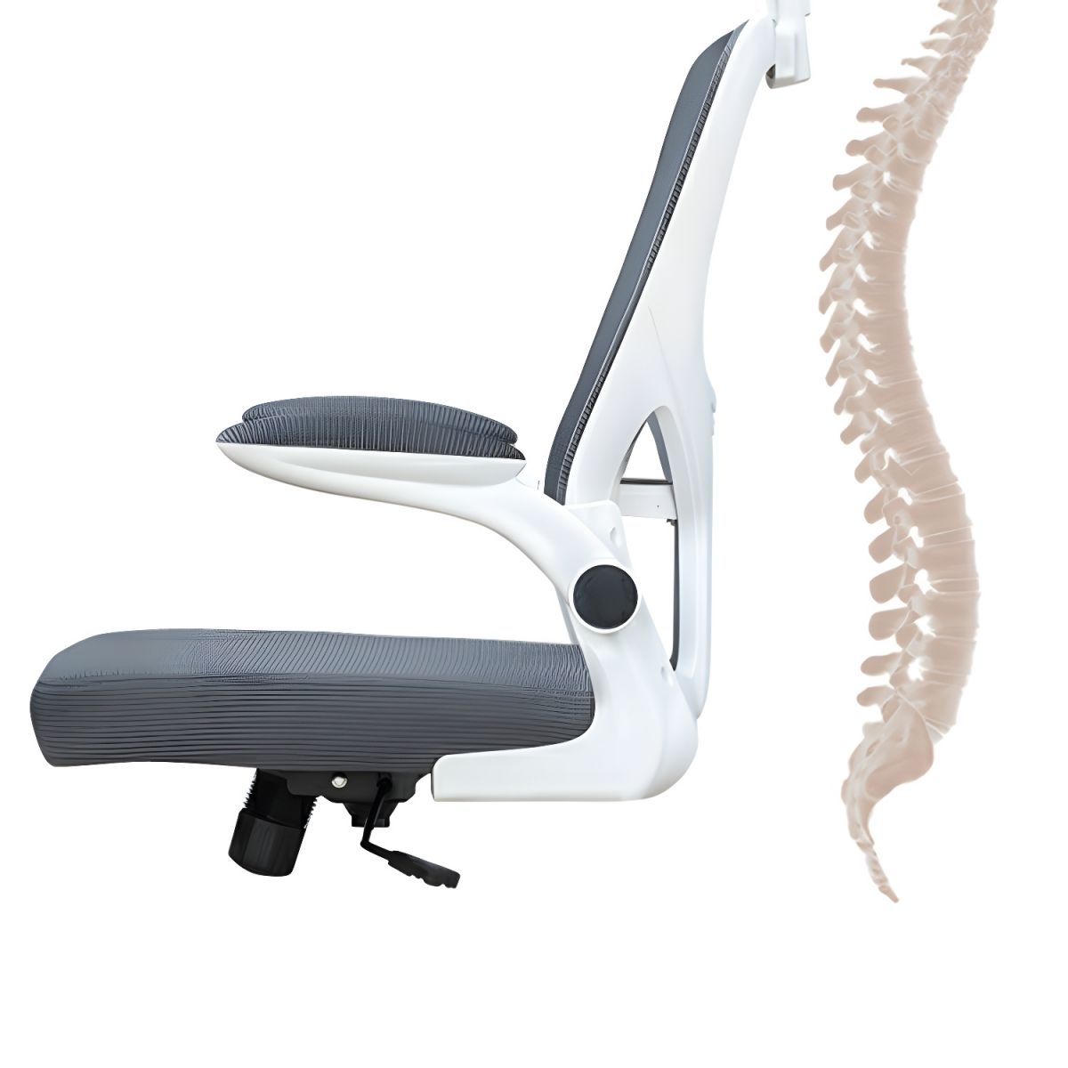 high back ergonomic office chair, ergonomic high back office chair, high back office chair ergonomic, ergonomic office chair high back, high back desk chair ergonomic, high back computer chair ergonomic, ergonomic seating high back, office chair with high back support, high back swivel ergonomic chair, ergonomic executive office chair high back, high back ergonomic task chair, ergonomic chair for long hours high back, high back office chair with lumbar support, ergonomic chair high back for office use, high back ergonomic seating solution, ergonomic mesh office chair high back, breathable high back ergonomic chair, high back office chair adjustable, ergonomic chair with headrest high back, high back office chair for posture support, ergonomic high back rolling chair, high back office chair with wheels, adjustable ergonomic high back chair, high back ergonomic chair for productivity, ergonomic high back chair modern design, office seating ergonomic high back, high back office chair with adjustable armrests, ergonomic high back chair professional use, high back ergonomic office seating furniture, high back office chair for staff, ergonomic high back chair for managers, high back ergonomic chair with lumbar adjustment, ergonomic office chair for back support high back, high back chair ergonomic posture correction, ergonomic chair high back for long sitting, high back office chair breathable mesh back, ergonomic high back chair premium quality, high back office chair durable build, ergonomic chair high back with tilt mechanism, high back ergonomic swivel chair office, ergonomic chair high back modern office, high back office chair with neck support, ergonomic high back chair corporate office, high back ergonomic chair daily office use, ergonomic chair high back with strong backrest, high back office chair professional seating, ergonomic high back chair executive seating, high back ergonomic office chair for home office, ergonomic chair high back balanced posture, high back ergonomic chair adjustable height, ergonomic office chair high back comfortable, high back ergonomic chair refined design, ergonomic high back chair for office productivity, high back office chair modern ergonomic design, ergonomic chair high back smooth mobility, high back ergonomic chair strong base, ergonomic high back chair workspace furniture, high back office chair ergonomic support system, ergonomic chair high back breathable comfort, high back ergonomic chair office interior, ergonomic high back chair commercial grade, high back office chair with cushioned seat, ergonomic chair high back posture support, high back ergonomic chair with headrest and lumbar, ergonomic high back chair for employees, high back office chair ergonomic seating solution, ergonomic chair high back modern professional, high back ergonomic chair premium office furniture, ergonomic high back chair sturdy construction, high back office chair ergonomic long hours, ergonomic chair high back for workstation, high back ergonomic chair refined office style, ergonomic high back chair adjustable features, high back office chair for spine alignment, ergonomic chair high back professional comfort, high back ergonomic chair office workspace solution, ergonomic high back chair quality materials, high back office chair ergonomic daily use, ergonomic chair high back efficient seating, high back ergonomic chair modern workspace furniture, ergonomic high back chair stable structure, high back office chair ergonomic corporate seating, ergonomic chair high back posture-focused, high back ergonomic chair professional office use, ergonomic high back chair productivity seating, high back office chair ergonomic modern look, ergonomic chair high back with lumbar support system, high back ergonomic chair premium comfort, ergonomic high back chair for office staff, high back office chair ergonomic functional design, ergonomic chair high back advanced ergonomics, high back ergonomic chair supportive seating, ergonomic high back chair office-grade quality, high back office chair ergonomic executive use, ergonomic chair high back refined professional look, high back ergonomic chair modern corporate office, ergonomic high back chair durable office furniture, high back office chair ergonomic seating comfort, ergonomic chair high back business workspace, high back ergonomic chair ergonomic posture seating, ergonomic high back chair office productivity solution, high back office chair ergonomic professional grade, ergonomic chair high back premium workspace furniture, high back ergonomic chair efficient office seating, ergonomic high back chair modern office interior, high back office chair ergonomic supportive design, ergonomic chair high back strong lumbar support, high back ergonomic chair corporate furniture, ergonomic high back chair refined executive seating, high back office chair ergonomic healthy seating, ergonomic chair high back for long work hours, high back ergonomic chair balanced ergonomic design, ergonomic high back chair office seating system, high back office chair ergonomic comfort solution, ergonomic chair high back office-grade seating, high back ergonomic chair modern productivity furniture, ergonomic high back chair quality office seating, high back office chair ergonomic professional comfort, ergonomic chair high back for healthy posture, high back ergonomic chair workplace seating solution, ergonomic high back chair premium ergonomic office chair.