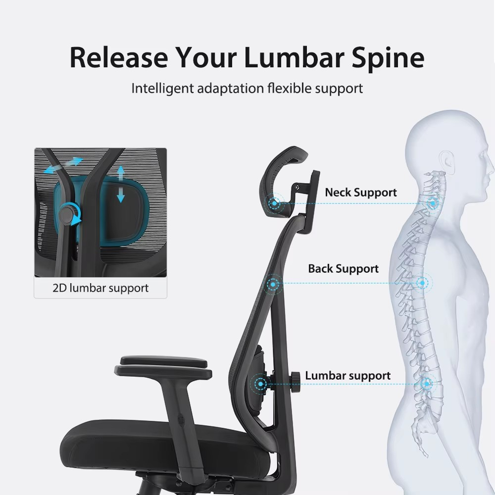 ergonomic computer desk chair, computer desk ergonomic chair, ergonomic office desk chair, ergonomic desk chair for computer, ergonomic chair for office desk, adjustable ergonomic computer desk chair, ergonomic swivel desk chair, computer desk chair ergonomic design, ergonomic chair for computer work, ergonomic desk chair with lumbar support, ergonomic chair for desk workstation, ergonomic computer chair for office, ergonomic office chair for computer desk, ergonomic desk chair adjustable height, ergonomic chair with armrest for computer desk, ergonomic mesh desk chair, ergonomic swivel computer desk chair, ergonomic executive desk chair, ergonomic task chair for computer desk, ergonomic chair for long hours at desk, ergonomic office desk chair with wheels, ergonomic chair for home office computer desk, ergonomic computer chair with adjustable back, ergonomic desk chair with headrest, ergonomic office chair for desk work, ergonomic chair with lumbar cushion for desk, ergonomic chair for workstation desk, ergonomic chair with tilt mechanism for desk, ergonomic computer office chair modern, ergonomic mesh office chair for desk, ergonomic chair professional desk seating, ergonomic chair for corporate office desk, ergonomic desk chair with padded seat, ergonomic chair with adjustable armrests, ergonomic office chair high back for desk, ergonomic chair with breathable back for desk, ergonomic computer chair heavy duty, ergonomic swivel chair for desk, ergonomic chair with caster wheels, ergonomic office chair ergonomic support, ergonomic chair for productivity at desk, ergonomic desk chair contemporary design, ergonomic chair for manager office desk, ergonomic chair adjustable for computer desk, ergonomic office chair comfortable seating, ergonomic chair for long sitting hours, ergonomic desk chair premium quality, ergonomic chair for work from home desk, ergonomic mesh computer chair, ergonomic chair professional office, ergonomic chair modern design for desk, ergonomic chair durable for office use, ergonomic chair adjustable lumbar support, ergonomic chair office furniture, ergonomic chair for employee workstation, ergonomic office chair stylish, ergonomic chair for executive desk, ergonomic computer workstation chair, ergonomic chair for gaming desk, ergonomic chair for study desk, ergonomic chair lightweight for office desk, ergonomic desk chair breathable, ergonomic chair high back mesh for desk, ergonomic chair with footrest for desk, ergonomic chair ergonomic posture support, ergonomic computer chair with armrests, ergonomic chair for office desk setup, ergonomic chair for home study desk, ergonomic office chair multifunctional, ergonomic chair adjustable seat height, ergonomic chair lumbar and neck support, ergonomic desk chair for office productivity, ergonomic chair comfortable ergonomic, ergonomic chair with swivel base, ergonomic chair professional workspace, ergonomic chair desk seating solution, ergonomic chair compact for desk, ergonomic chair stylish modern office, ergonomic chair high-end desk chair, ergonomic chair for computer workstation office, ergonomic chair adjustable tilt desk, ergonomic chair mesh breathable support, ergonomic office chair ergonomic design, ergonomic chair with modern features.
