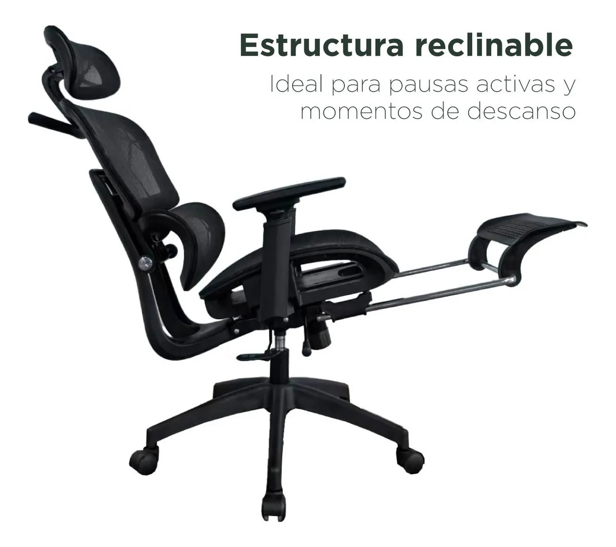 orthopedic office seat with footrest, office chair orthopedic with footrest, ergonomic office chair with footrest, orthopedic office chair with leg support, office seat with orthopedic support and footrest, orthopedic chair for office with footrest, office chair with footrest orthopedic design, orthopedic office seating with footrest, office furniture orthopedic chair with footrest, ergonomic orthopedic office seat with footrest, office chair with orthopedic cushion and footrest, orthopedic office recliner with footrest, office seat with leg support and footrest, orthopedic chair with adjustable footrest, office chair with ergonomic orthopedic support, orthopedic executive office chair with footrest, office seating orthopedic comfort with footrest, orthopedic office chair for long hours with footrest, office chair orthopedic ergonomic with footrest, orthopedic office armchair with footrest, office chair with footrest and lumbar support, orthopedic office recliner chair with footrest, office seating ergonomic orthopedic chair with footrest, office chair with orthopedic padding and footrest, orthopedic office furniture chair with footrest, office chair for orthopedic comfort with footrest, orthopedic adjustable office chair with footrest, office seat with ergonomic orthopedic design and footrest, orthopedic office chair reclining with footrest, office chair for back support with orthopedic footrest, orthopedic office chair for executives with footrest, office seating with orthopedic cushion and footrest, orthopedic office chair modern design with footrest, office chair with footrest and orthopedic features, orthopedic office chair deluxe with footrest, office chair orthopedic recliner with footrest, office chair with leg rest orthopedic, orthopedic office chair with footrest and headrest, office seat orthopedic recliner with footrest, orthopedic executive chair for office with footrest, office chair with ergonomic footrest orthopedic, orthopedic office furniture seating with footrest, office chair for long working hours orthopedic with footrest, orthopedic office chair padded with footrest, office chair ergonomic orthopedic comfort with footrest, orthopedic office chair with adjustable recline and footrest, office chair with footrest orthopedic support for back, orthopedic office chair with leg support and footrest, office seating orthopedic executive chair with footrest, office chair orthopedic comfort seat with footrest, orthopedic office chair with built-in footrest, office chair for orthopedic support with footrest, orthopedic office seat reclining with footrest, office chair ergonomic orthopedic back support with footrest, orthopedic office furniture chair reclining with footrest, office chair orthopedic deluxe with footrest, orthopedic office seat adjustable with footrest, office chair with footrest orthopedic lumbar cushion, orthopedic office chair executive comfort with footrest, office seating chair with orthopedic leg rest and footrest, orthopedic office recliner chair ergonomic with footrest, office chair with orthopedic ergonomic seating and footrest, orthopedic office chair modern executive with footrest, office chair ergonomic orthopedic deluxe with footrest, orthopedic office seat with leg and back support footrest, office chair orthopedic recliner executive with footrest, orthopedic office chair with comfort cushion and footrest, office seating chair with orthopedic lumbar support and footrest, orthopedic office chair for workstation with footrest, office chair ergonomic orthopedic footrest recliner, orthopedic office furniture chair with adjustable footrest, office chair with ergonomic orthopedic leg rest, orthopedic office chair for professional use with footrest, office chair orthopedic comfort recliner with footrest, orthopedic executive office seat with footrest, office chair with orthopedic cushion seat and footrest, orthopedic office chair for productivity with footrest, office seating orthopedic adjustable chair with footrest, orthopedic office chair deluxe recliner with footrest, office chair orthopedic ergonomic modern with footrest, orthopedic office seat for back support with footrest, office chair with orthopedic padded seat and footrest, orthopedic office chair for comfort with footrest, office chair orthopedic support with footrest, orthopedic office chair reclining footrest ergonomic, office chair orthopedic executive comfort footrest, orthopedic office furniture recliner with footrest, office seat ergonomic orthopedic with footrest, orthopedic office chair for long sitting with footrest, office chair with orthopedic lumbar cushion and footrest, orthopedic office chair adjustable recliner with footrest, office chair orthopedic leg rest footrest, orthopedic office chair executive deluxe with footrest, office seat orthopedic chair with footrest, orthopedic office chair ergonomic deluxe with footrest, office chair orthopedic comfort deluxe with footrest, orthopedic office seat reclining chair with footrest, office chair orthopedic adjustable with footrest, orthopedic office chair with footrest for back support, office seating chair orthopedic ergonomic deluxe, orthopedic office chair with footrest and support, office chair orthopedic workstation seat with footrest, orthopedic office chair premium with footrest, office chair ergonomic orthopedic reclining footrest, orthopedic office furniture executive chair with footrest, office chair orthopedic modern with footrest, orthopedic office chair reclining executive with footrest, office seat orthopedic support chair with footrest, orthopedic office chair for desk work with footrest, office chair orthopedic comfort deluxe reclining with footrest, orthopedic executive office recliner chair with footrest, office chair orthopedic adjustable deluxe with footrest, orthopedic office chair ergonomic workstation with footrest, office chair orthopedic chair for long hours with footrest, orthopedic office recliner chair premium with footrest.