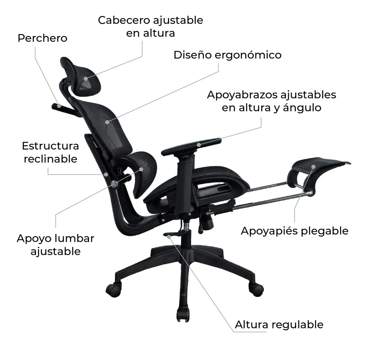 orthopedic office seat with footrest, office chair orthopedic with footrest, ergonomic office chair with footrest, orthopedic office chair with leg support, office seat with orthopedic support and footrest, orthopedic chair for office with footrest, office chair with footrest orthopedic design, orthopedic office seating with footrest, office furniture orthopedic chair with footrest, ergonomic orthopedic office seat with footrest, office chair with orthopedic cushion and footrest, orthopedic office recliner with footrest, office seat with leg support and footrest, orthopedic chair with adjustable footrest, office chair with ergonomic orthopedic support, orthopedic executive office chair with footrest, office seating orthopedic comfort with footrest, orthopedic office chair for long hours with footrest, office chair orthopedic ergonomic with footrest, orthopedic office armchair with footrest, office chair with footrest and lumbar support, orthopedic office recliner chair with footrest, office seating ergonomic orthopedic chair with footrest, office chair with orthopedic padding and footrest, orthopedic office furniture chair with footrest, office chair for orthopedic comfort with footrest, orthopedic adjustable office chair with footrest, office seat with ergonomic orthopedic design and footrest, orthopedic office chair reclining with footrest, office chair for back support with orthopedic footrest, orthopedic office chair for executives with footrest, office seating with orthopedic cushion and footrest, orthopedic office chair modern design with footrest, office chair with footrest and orthopedic features, orthopedic office chair deluxe with footrest, office chair orthopedic recliner with footrest, office chair with leg rest orthopedic, orthopedic office chair with footrest and headrest, office seat orthopedic recliner with footrest, orthopedic executive chair for office with footrest, office chair with ergonomic footrest orthopedic, orthopedic office furniture seating with footrest, office chair for long working hours orthopedic with footrest, orthopedic office chair padded with footrest, office chair ergonomic orthopedic comfort with footrest, orthopedic office chair with adjustable recline and footrest, office chair with footrest orthopedic support for back, orthopedic office chair with leg support and footrest, office seating orthopedic executive chair with footrest, office chair orthopedic comfort seat with footrest, orthopedic office chair with built-in footrest, office chair for orthopedic support with footrest, orthopedic office seat reclining with footrest, office chair ergonomic orthopedic back support with footrest, orthopedic office furniture chair reclining with footrest, office chair orthopedic deluxe with footrest, orthopedic office seat adjustable with footrest, office chair with footrest orthopedic lumbar cushion, orthopedic office chair executive comfort with footrest, office seating chair with orthopedic leg rest and footrest, orthopedic office recliner chair ergonomic with footrest, office chair with orthopedic ergonomic seating and footrest, orthopedic office chair modern executive with footrest, office chair ergonomic orthopedic deluxe with footrest, orthopedic office seat with leg and back support footrest, office chair orthopedic recliner executive with footrest, orthopedic office chair with comfort cushion and footrest, office seating chair with orthopedic lumbar support and footrest, orthopedic office chair for workstation with footrest, office chair ergonomic orthopedic footrest recliner, orthopedic office furniture chair with adjustable footrest, office chair with ergonomic orthopedic leg rest, orthopedic office chair for professional use with footrest, office chair orthopedic comfort recliner with footrest, orthopedic executive office seat with footrest, office chair with orthopedic cushion seat and footrest, orthopedic office chair for productivity with footrest, office seating orthopedic adjustable chair with footrest, orthopedic office chair deluxe recliner with footrest, office chair orthopedic ergonomic modern with footrest, orthopedic office seat for back support with footrest, office chair with orthopedic padded seat and footrest, orthopedic office chair for comfort with footrest, office chair orthopedic support with footrest, orthopedic office chair reclining footrest ergonomic, office chair orthopedic executive comfort footrest, orthopedic office furniture recliner with footrest, office seat ergonomic orthopedic with footrest, orthopedic office chair for long sitting with footrest, office chair with orthopedic lumbar cushion and footrest, orthopedic office chair adjustable recliner with footrest, office chair orthopedic leg rest footrest, orthopedic office chair executive deluxe with footrest, office seat orthopedic chair with footrest, orthopedic office chair ergonomic deluxe with footrest, office chair orthopedic comfort deluxe with footrest, orthopedic office seat reclining chair with footrest, office chair orthopedic adjustable with footrest, orthopedic office chair with footrest for back support, office seating chair orthopedic ergonomic deluxe, orthopedic office chair with footrest and support, office chair orthopedic workstation seat with footrest, orthopedic office chair premium with footrest, office chair ergonomic orthopedic reclining footrest, orthopedic office furniture executive chair with footrest, office chair orthopedic modern with footrest, orthopedic office chair reclining executive with footrest, office seat orthopedic support chair with footrest, orthopedic office chair for desk work with footrest, office chair orthopedic comfort deluxe reclining with footrest, orthopedic executive office recliner chair with footrest, office chair orthopedic adjustable deluxe with footrest, orthopedic office chair ergonomic workstation with footrest, office chair orthopedic chair for long hours with footrest, orthopedic office recliner chair premium with footrest.