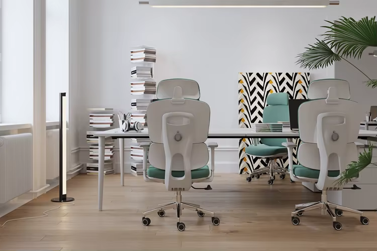 green orthopedic chair, green orthopedic office chair, green ergonomic chair, green ergonomic office chair, green lumbar support chair, green back support chair, green posture chair, green computer chair, green study chair, green work chair, green office chair ergonomic, green mesh orthopedic chair, green leather orthopedic chair, green high back chair, green low back orthopedic chair, green adjustable office chair, green swivel orthopedic chair, green reclining office chair, green executive chair orthopedic, green gaming orthopedic chair, green desk chair green, green comfortable office chair, green padded office chair, green cushioned ergonomic chair, green breathable mesh chair, green lumbar support office chair, green spine support chair, green back pain relief chair, green orthopedic desk chair, green office workstation chair green, green task chair ergonomic, green home office chair, green corporate office chair green, green professional office chair, green modern ergonomic chair, green stylish office chair green, green luxury office chair, green premium office chair, green budget ergonomic chair, green affordable office chair, green heavy duty office chair, green durable ergonomic chair, green strong office chair, green adjustable lumbar chair, green height adjustable chair, green tilt mechanism chair, green recliner office chair, green rocking office chair, green armrest office chair, green padded armrest chair, green headrest office chair, green neck support chair, green posture corrector chair, green orthopedic computer chair, green office furniture chair green, green office seating solution, green ergonomic workstation chair, green multi purpose office chair, green study room chair green, green student ergonomic chair, green teacher office chair, green conference chair green, green meeting room chair, green reception chair green, green visitor chair green, green waiting room chair green, green executive ergonomic chair green, green boss chair green orthopedic, green high back ergonomic chair green, green mid back office chair green, green compact ergonomic chair green, green space saving office chair, green small office chair ergonomic, green large ergonomic chair green, green wide seat office chair, green soft cushion office chair, green foam seat ergonomic chair, green breathable office seating, green mesh back office chair, green fabric ergonomic chair green, green leather office chair ergonomic, green PU leather office chair green, green waterproof office chair, green stain resistant chair, green scratch resistant office chair, green easy clean office chair, green modern workspace chair green, green productivity office chair, green WFH chair ergonomic, green remote work chair, green home workstation chair green, green office setup chair green, green professional workstation chair, green long sitting chair ergonomic, green 8 hour office chair, green 12 hour office chair, green all day comfort chair green, green spine alignment chair, green posture alignment chair green, green orthopedic seating solution green, green back support workstation chair, green ergonomic seating furniture green, green office chair with wheels, green rolling office chair ergonomic, green caster wheel chair green, green 360 swivel chair ergonomic, green adjustable backrest chair, green multi position office chair, green foldable office chair green, green compact desk chair green, green minimalist office chair green, green contemporary office chair green, green industrial office chair green, green aesthetic office chair green, green modern office furniture green, green ergonomic chair Kenya, green office chair Nairobi, green chair price Kenya, buy green ergonomic chair, green orthopedic chair online, green office chair near me, green ergonomic chair delivery Kenya, green office chair shop Kenya, green office furniture Kenya, green workstation chair Kenya, green computer chair Kenya, green office seating Kenya, green ergonomic chair Africa, green office chair East Africa, green orthopedic chair affordable, green ergonomic chair best price, green office chair deals Kenya, green chair discount Kenya, green office chair sale Kenya, green ergonomic chair wholesale, green office chair supplier Kenya, green office chair manufacturer keywords, green ergonomic chair SEO keywords, green office chair Google ranking tags, green orthopedic chair long tail keywords, green chair search optimization, green office furniture SEO list, green ergonomic product keywords, green chair ecommerce tags, green office chair meta keywords