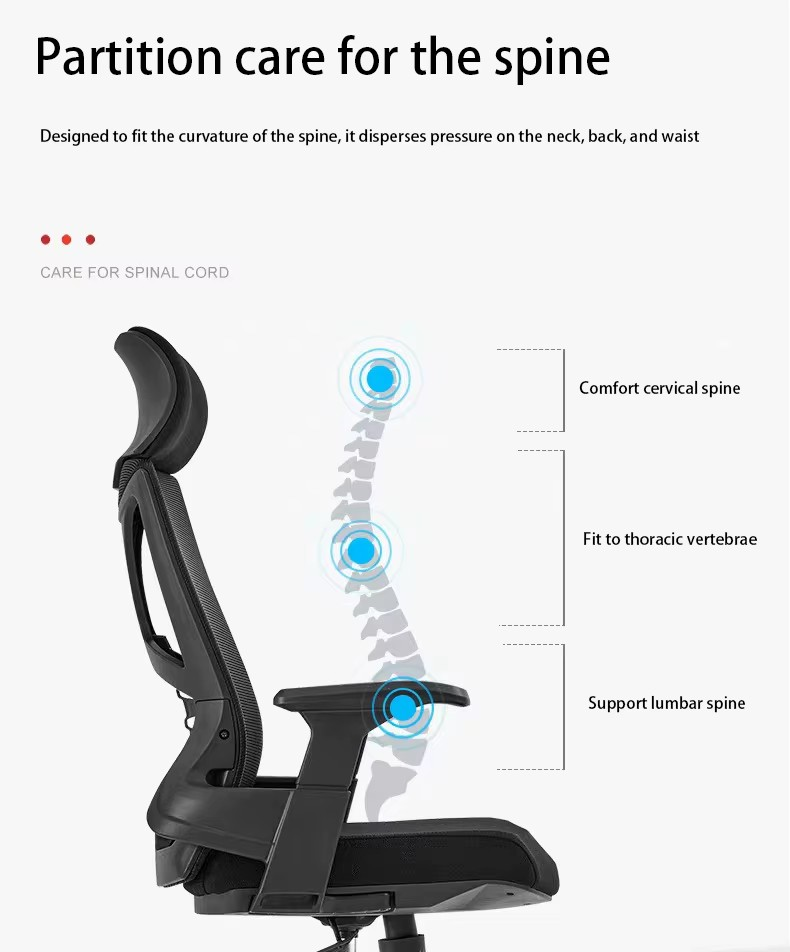 mesh study chair, study chair, mesh chair, ergonomic study chair, student chair, study room chair, desk chair, mesh office chair, breathable mesh chair, adjustable study chair, comfortable study chair, modern study chair, contemporary study chair, stylish study chair, lightweight study chair, durable study chair, high-quality study chair, swivel study chair, mesh chair with wheels, mesh chair with armrests, mesh chair with lumbar support, mesh chair with adjustable height, mesh chair with tilt function, mesh chair with back support, mesh chair for study, mesh chair for students, mesh chair for home study, mesh chair for office, mesh chair for workspace, mesh chair for long study hours, mesh chair for posture support, mesh chair for spine alignment, mesh chair for back support, mesh chair for neck support, mesh chair for comfort, mesh chair for productivity, mesh chair for learning environment, mesh chair for study room setup, mesh chair for home office, mesh chair for professionals, mesh chair for teenagers, mesh chair for kids, mesh chair for college students, mesh chair for school use, mesh chair for library use, mesh chair for reading room, mesh chair for workstation, mesh chair for desk setup, ergonomic seating for study, breathable seating solution, student seating solution, mesh chair for compact spaces, mesh chair for small rooms, mesh chair for large study rooms, mesh chair for shared workspace, mesh chair for multipurpose use, mesh chair for versatile seating, mesh chair for durable furniture, mesh chair for reliable seating, mesh chair for long-lasting use, mesh chair for daily use, mesh chair for modern interiors, mesh chair for stylish interiors, mesh chair for contemporary interiors, mesh chair for functional furniture, mesh chair for organized workspace, mesh chair for structured study setup, mesh chair for efficient workflow, mesh chair for productivity-focused environment, mesh chair for comfortable learning, mesh chair for ergonomic workspace, mesh chair for health-conscious seating, mesh chair for posture correction, mesh chair for improved focus, mesh chair for extended sitting, mesh chair for office and study, mesh chair for home and study, mesh chair for study and work, mesh chair for student desk, mesh chair for study desk, mesh chair for computer desk, mesh chair for laptop desk, mesh chair for online learning, mesh chair for remote work, mesh chair for hybrid workspace, mesh chair for flexible seating, mesh chair for modern workspace, mesh chair for stylish workspace, mesh chair for practical seating, mesh chair for study productivity, mesh chair for workspace efficiency, mesh chair for organized study environment, mesh chair for study comfort, mesh chair for improved posture, mesh chair for ergonomic study setup, mesh chair for long-term use, mesh chair for everyday use, mesh chair for budget-friendly seating, mesh chair for affordable study furniture, mesh chair for modern study furniture, mesh chair for high-performance study setup, mesh chair for comfortable workspace, mesh chair for functional workspace solution.