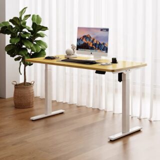 Height Adjustable Electric Desk